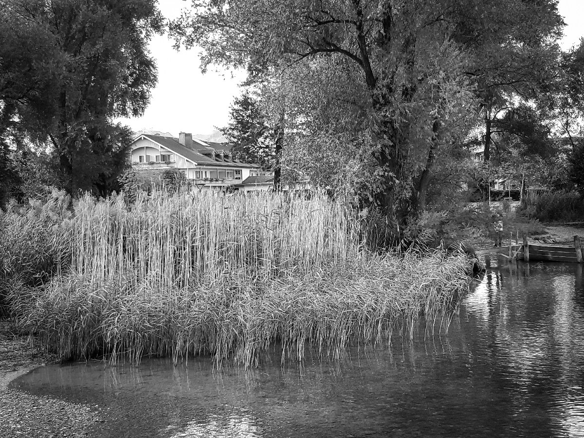 Herbst am Chiemsee