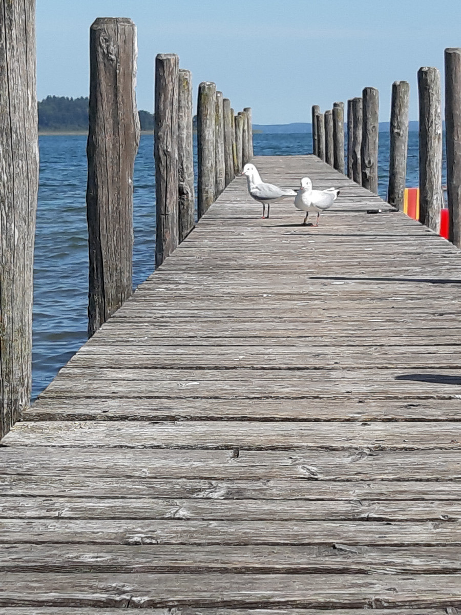 Herbst am Chiemsee