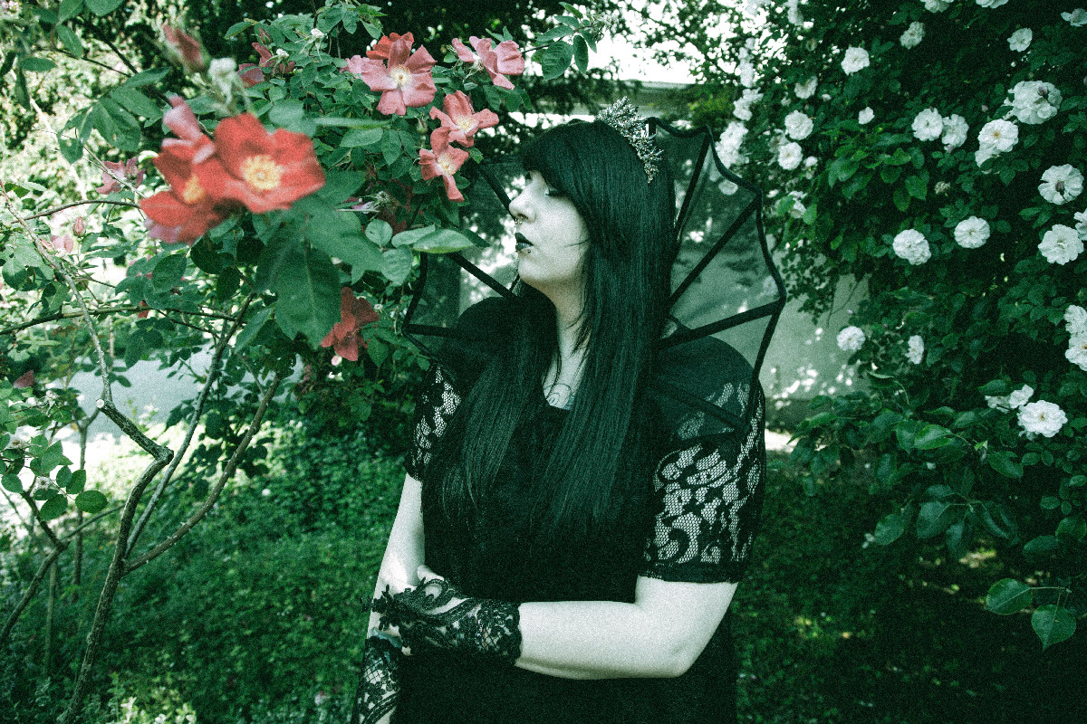 Steffi Black - Rosengarten