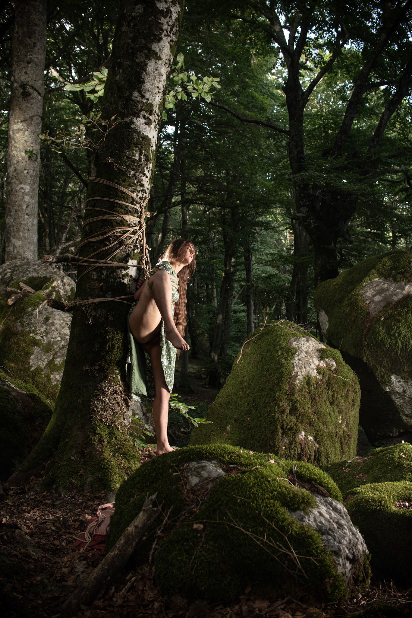 Fae
