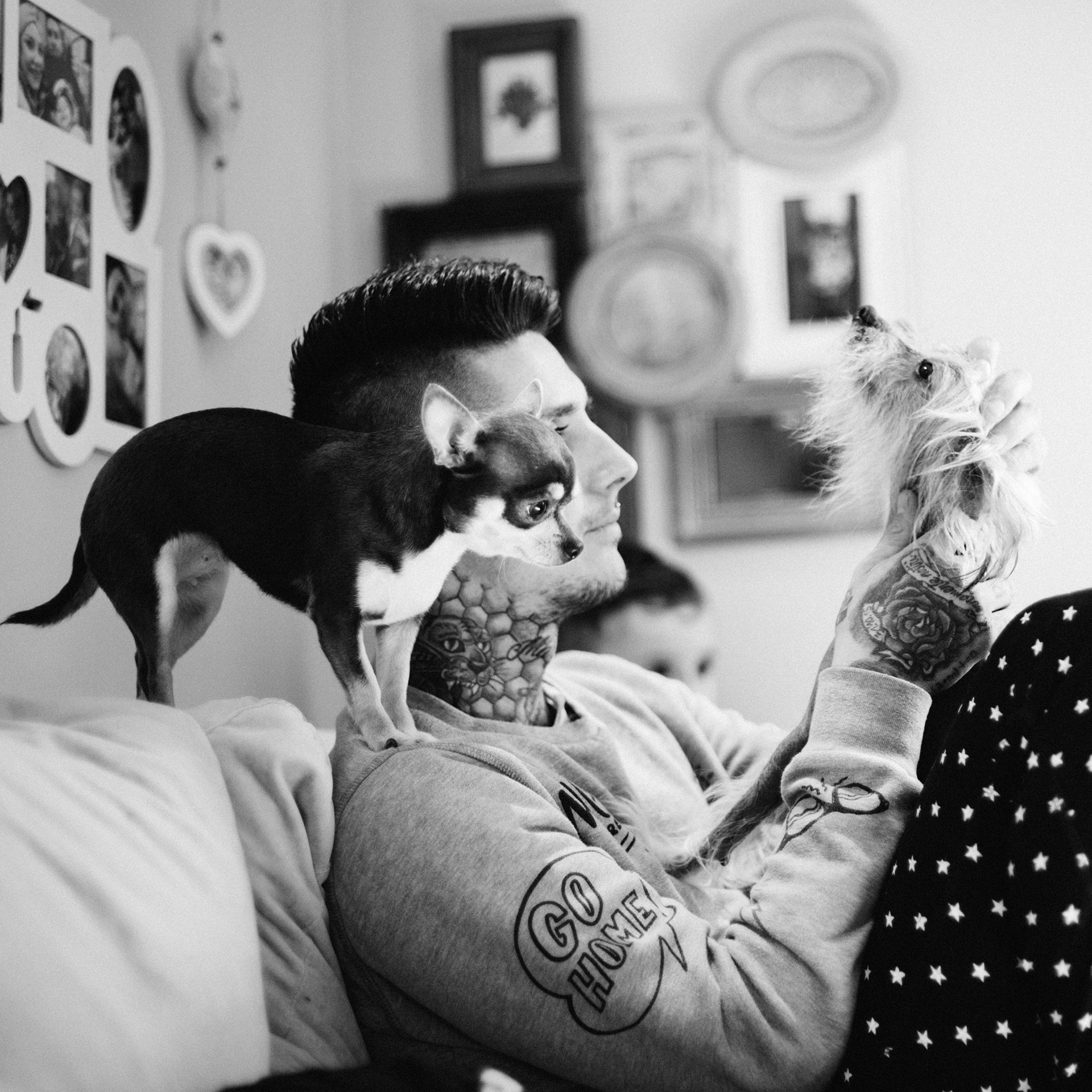 fotografo_brescia_famiglia_RossellaOrizio© - PETS