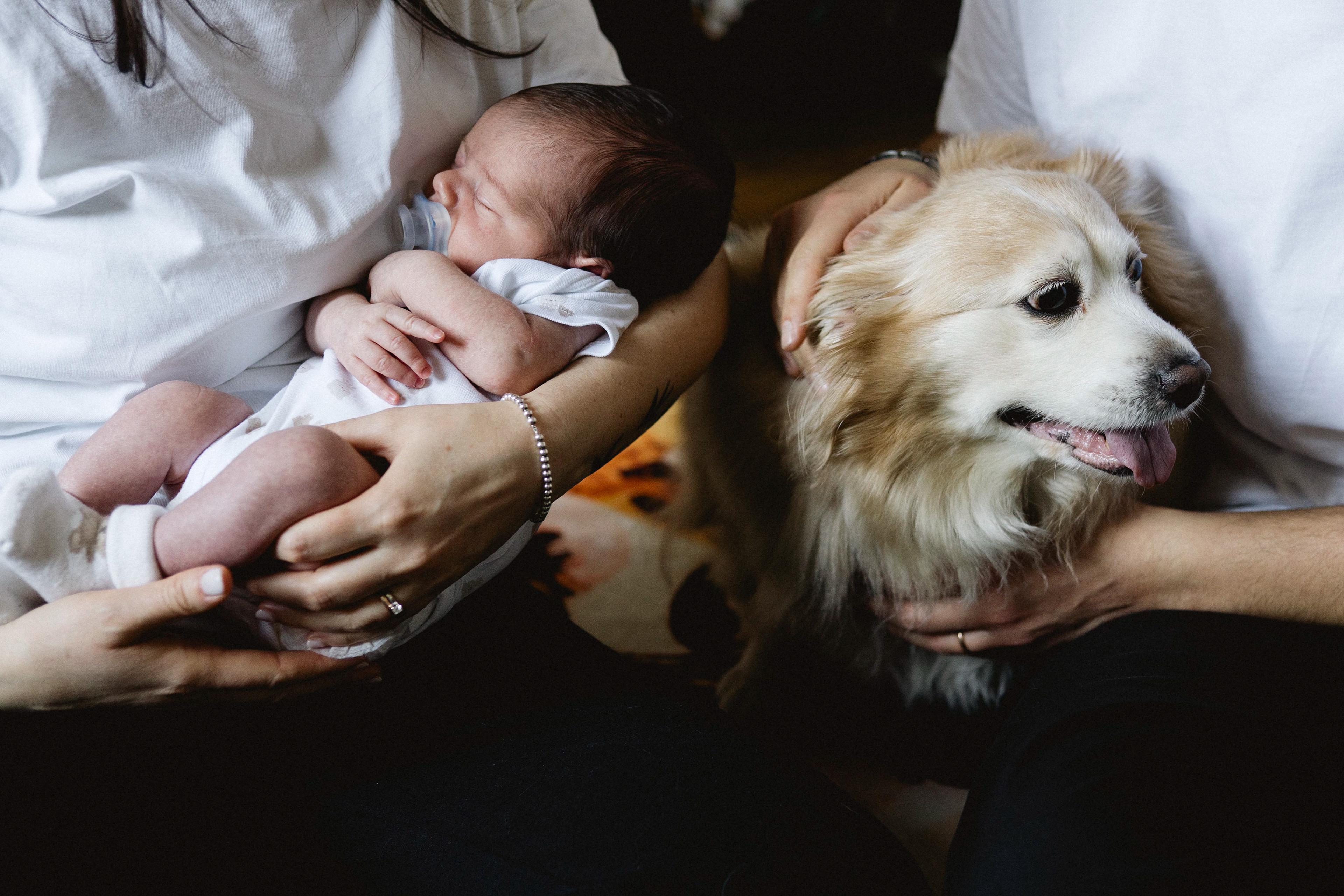 fotografa famiglie a Brescia - RossellaOrizio©