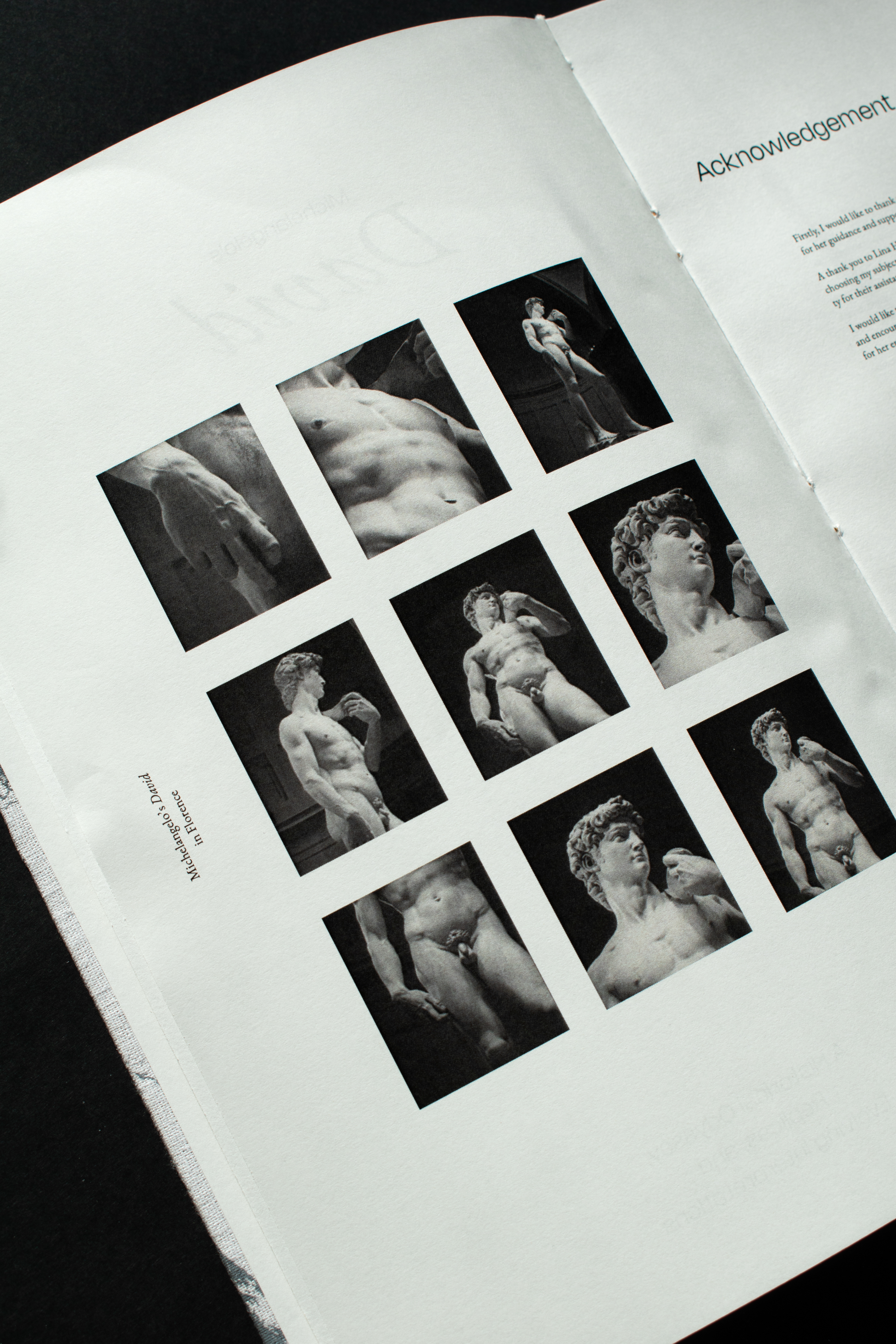 Michelangelo's David in Florence