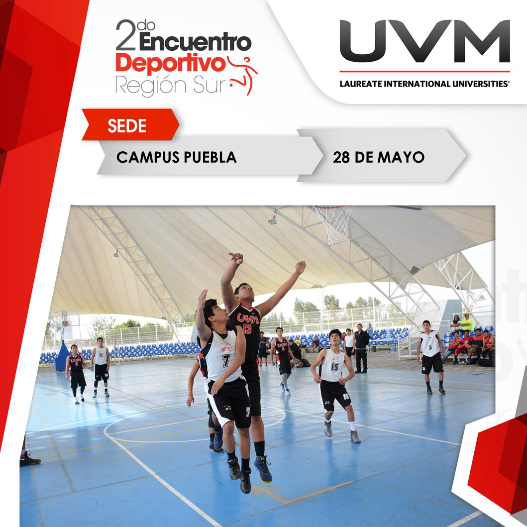 UVM, Región sur, 2017