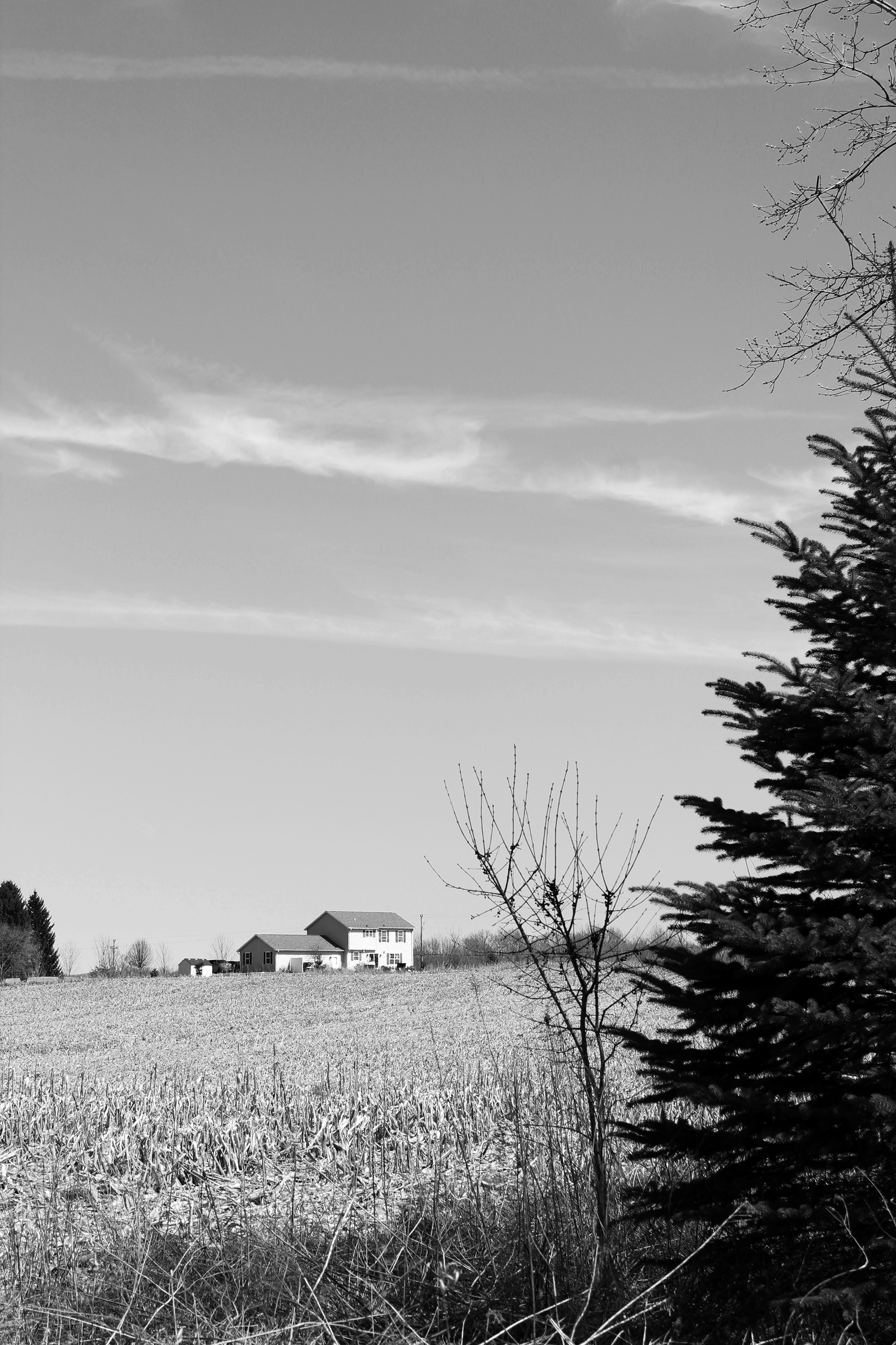 Digital Photograph, 2020