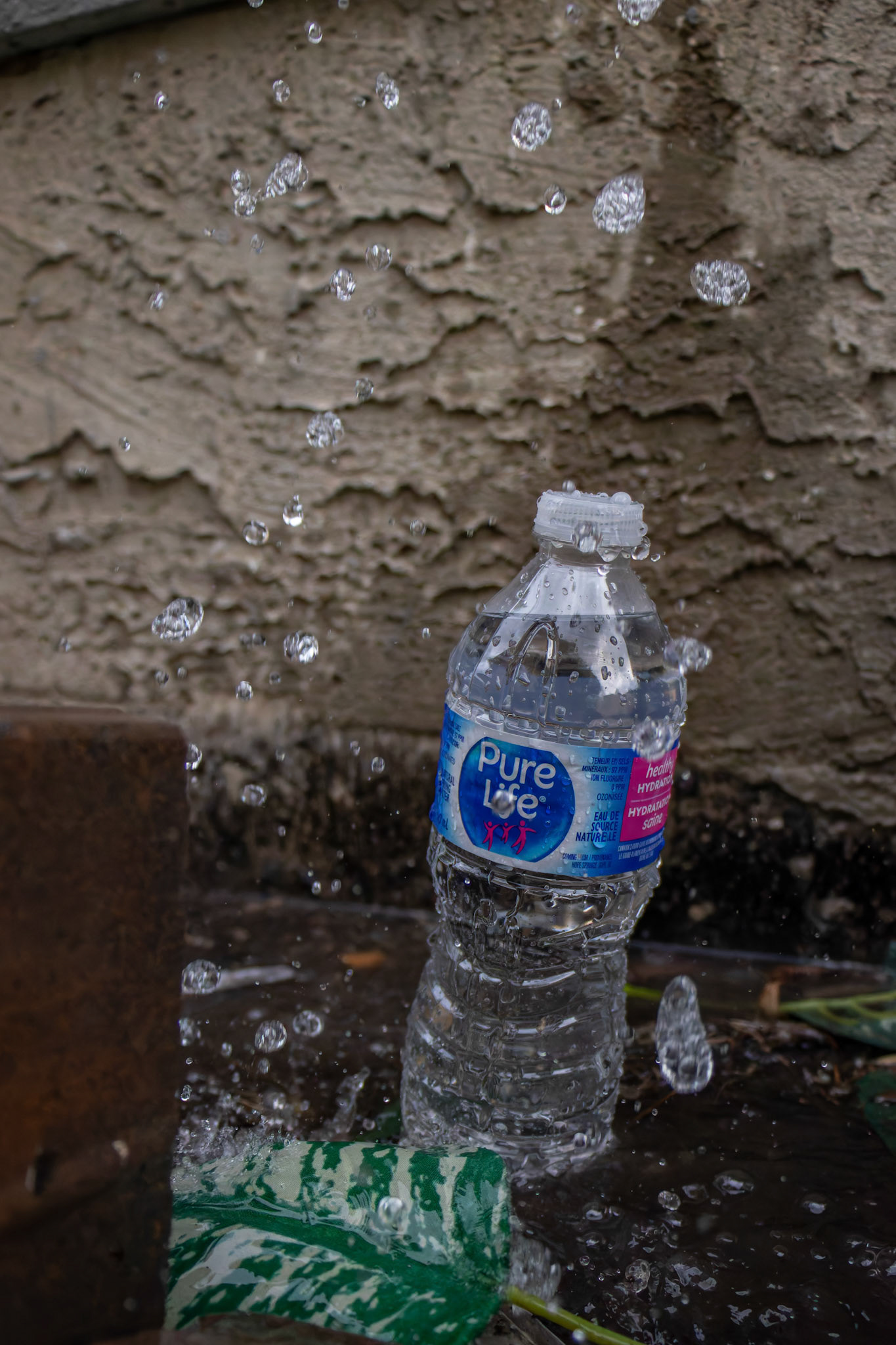 On Friday, May 10, 2024, a ‘Pure Life’ drinking water bottle, purchased on sale at Costco, became the subject of 36 creative photos taken around Calgary. (Photo by Armaan Khanna/SAIT)
