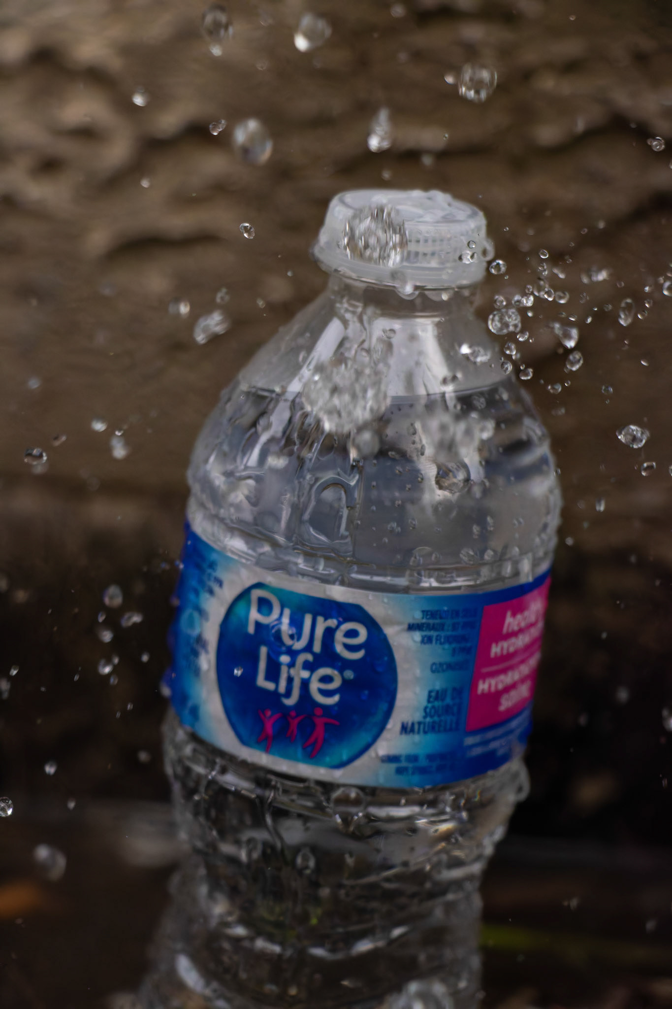 On Friday, May 10, 2024, a ‘Pure Life’ drinking water bottle, purchased on sale at Costco, became the subject of 36 creative photos taken around Calgary. (Photo by Armaan Khanna/SAIT)
