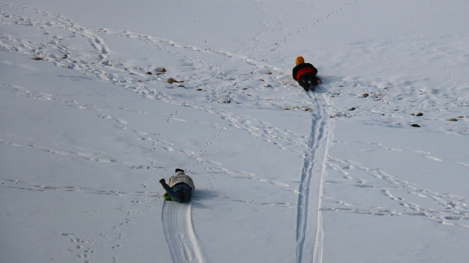 People enjoy tobogganing in the Praire Winds Park, N.E. Calgary on Thursday, Feb. 15, 2024. The temperature outside was around -6°C. The camera shutter speed was set to 1/2500. (Photo by Armaan Khanna/The Press)