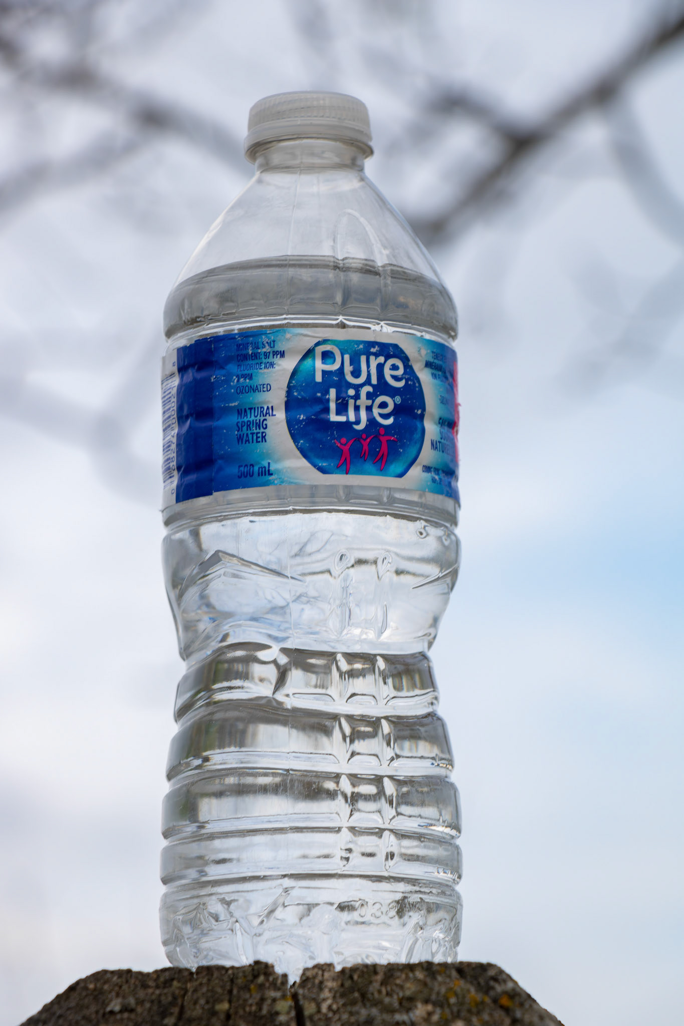 On Friday, May 10, 2024, a ‘Pure Life’ drinking water bottle, purchased on sale at Costco, became the subject of 36 creative photos taken around Calgary. (Photo by Armaan Khanna/SAIT)