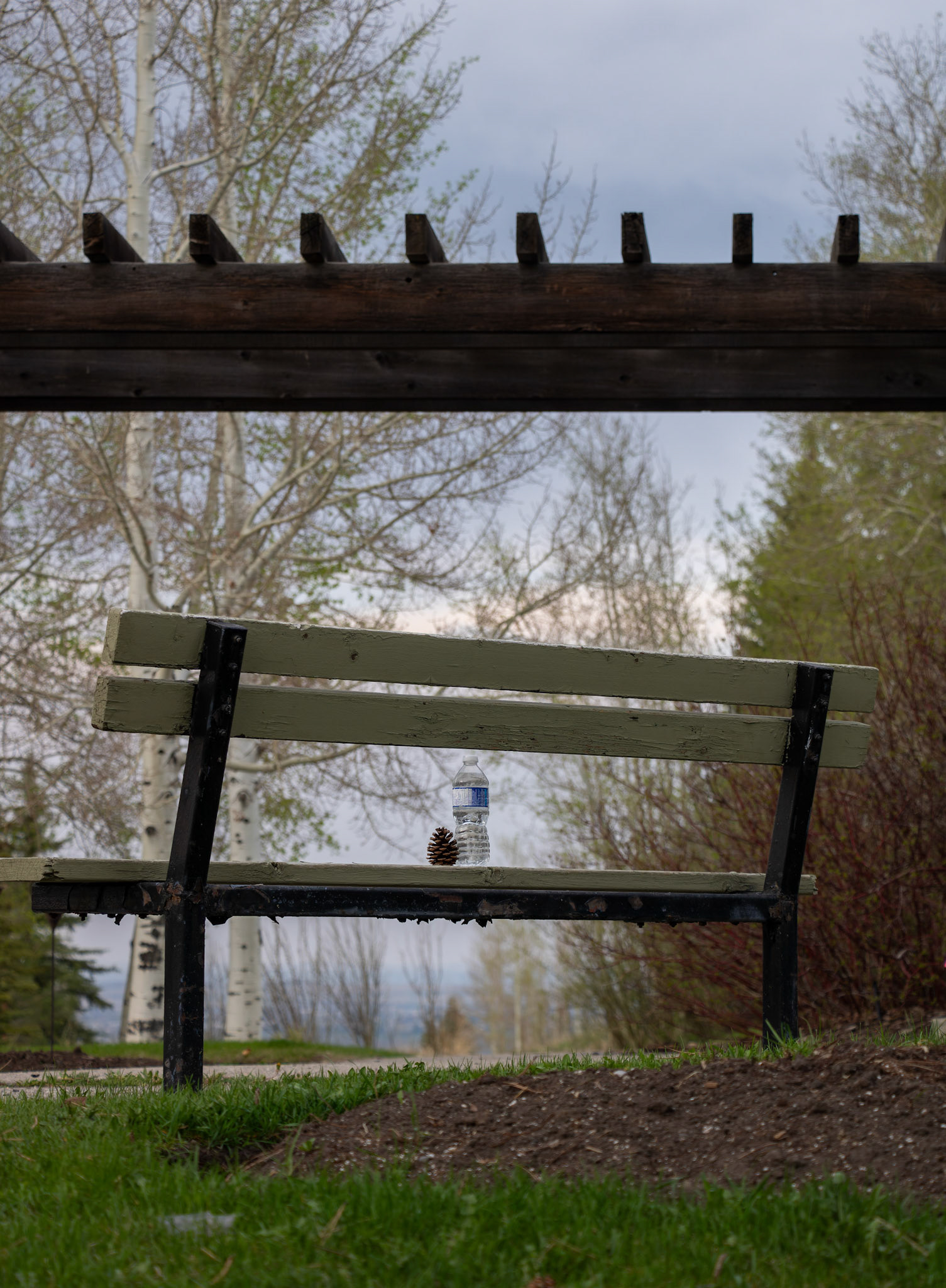 On Friday, May 10, 2024, a ‘Pure Life’ drinking water bottle, purchased on sale at Costco, became the subject of 36 creative photos taken around Calgary. (Photo by Armaan Khanna/SAIT)