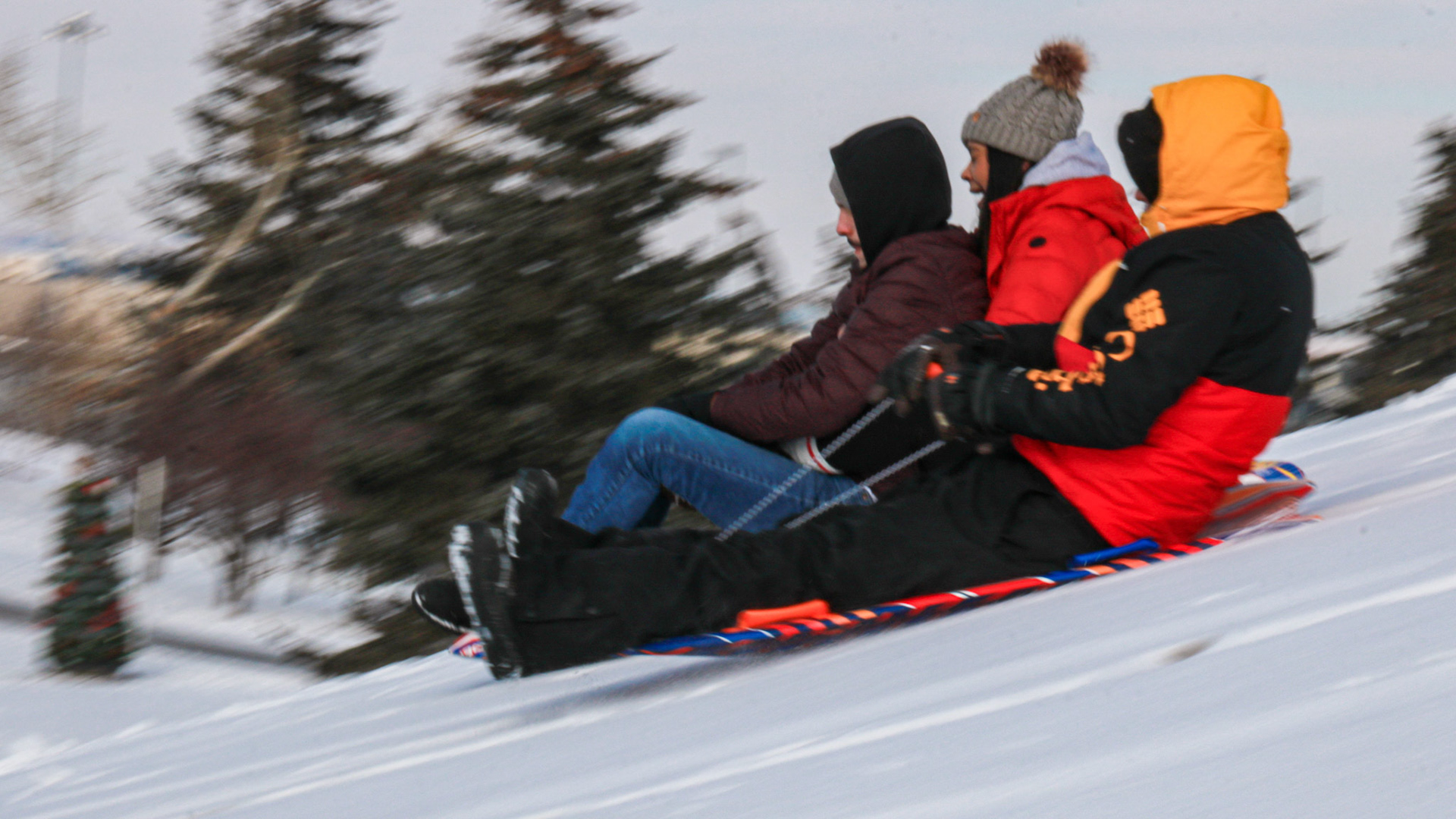 People enjoy tobogganing in the Praire Winds Park, N.E. Calgary on Thursday, Feb. 15, 2024. The temperature outside was around -6°C. This picture demonstrates a camera effect called panning. The camera shutter speed was set to 1/60. (Photo by Armaan Khanna/The Press)