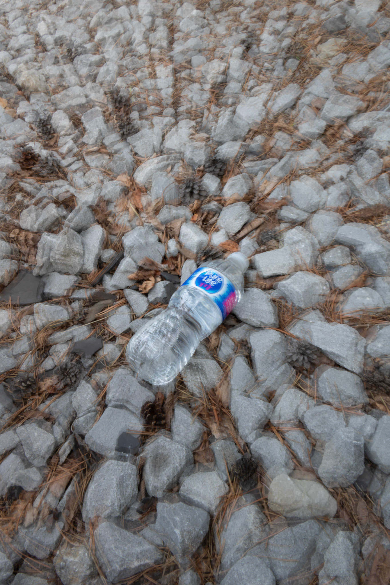 On Friday, May 10, 2024, a ‘Pure Life’ drinking water bottle, purchased on sale at Costco, became the subject of 36 creative photos taken around Calgary. (Photo by Armaan Khanna/SAIT)