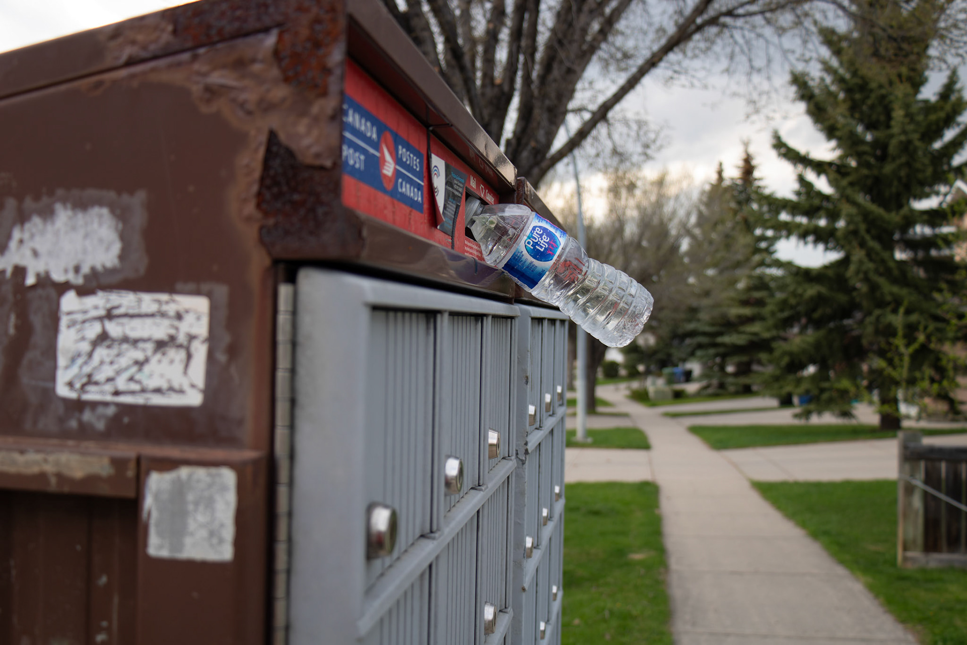 On Friday, May 10, 2024, a ‘Pure Life’ drinking water bottle, purchased on sale at Costco, became the subject of 36 creative photos taken around Calgary. (Photo by Armaan Khanna/SAIT)