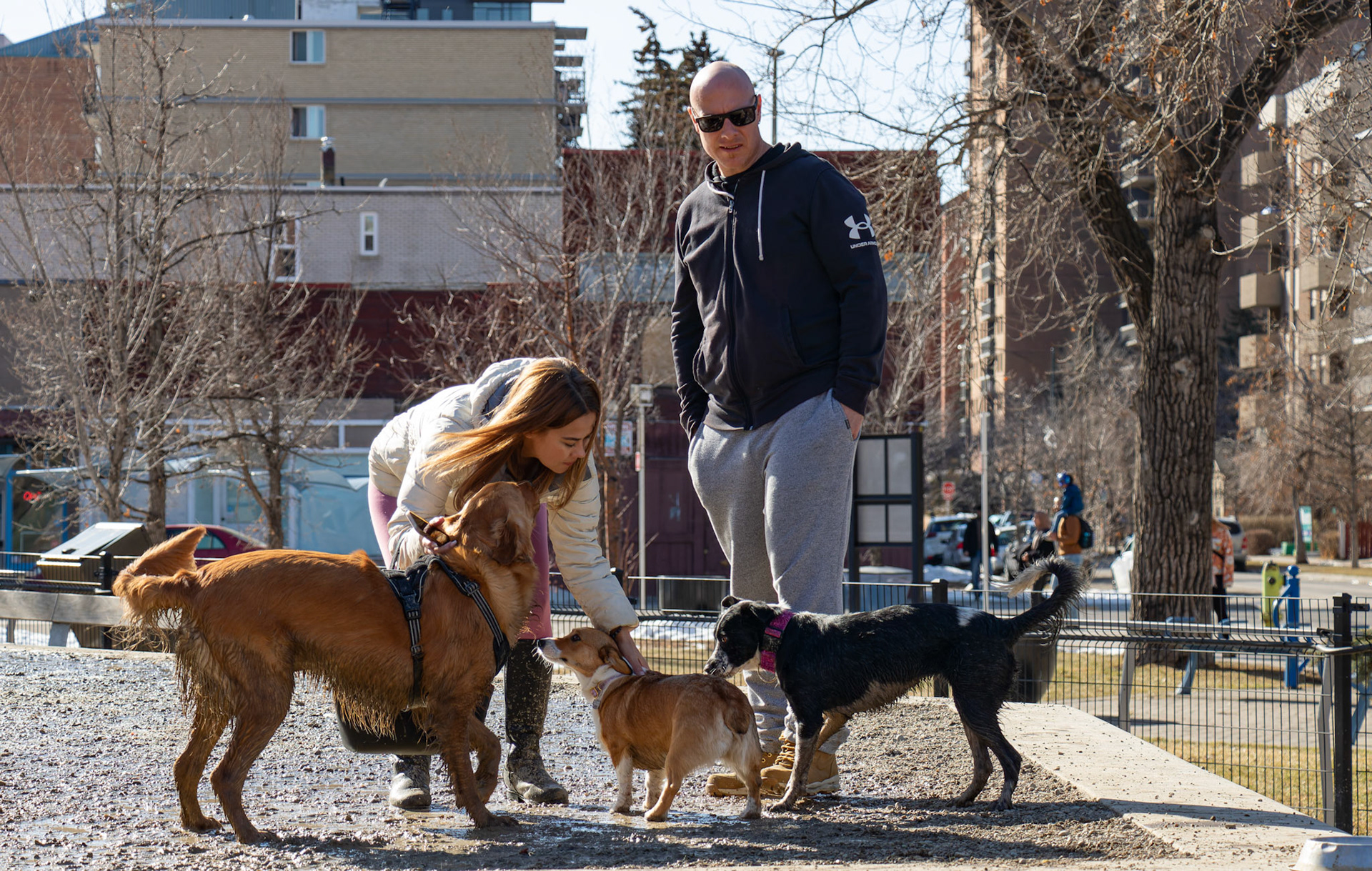 A woman pets dogs playing at Connaught Off-Leash Dog Park (1135 14 Ave SW) in Calgary on Monday, April 1, 2024. The pets and their owners enjoyed the spring afternoon in a fenced-in space, socializing and playing in one of the many popular dog parks around the city. (Photo by Armaan Khanna/The Press)