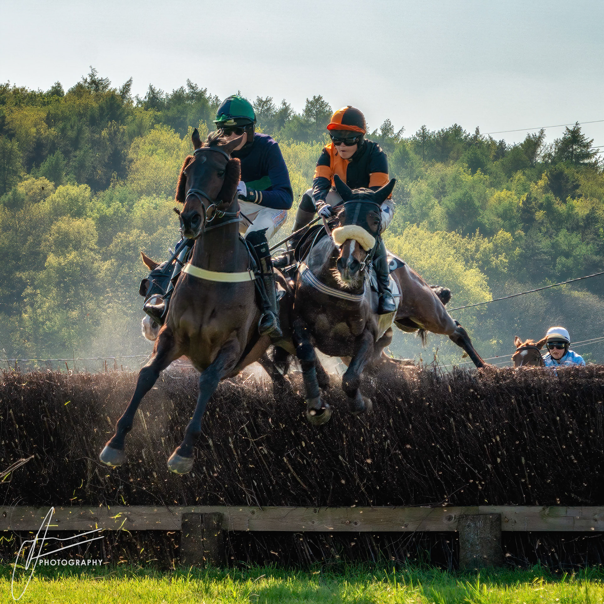 Dingley Races 2018
