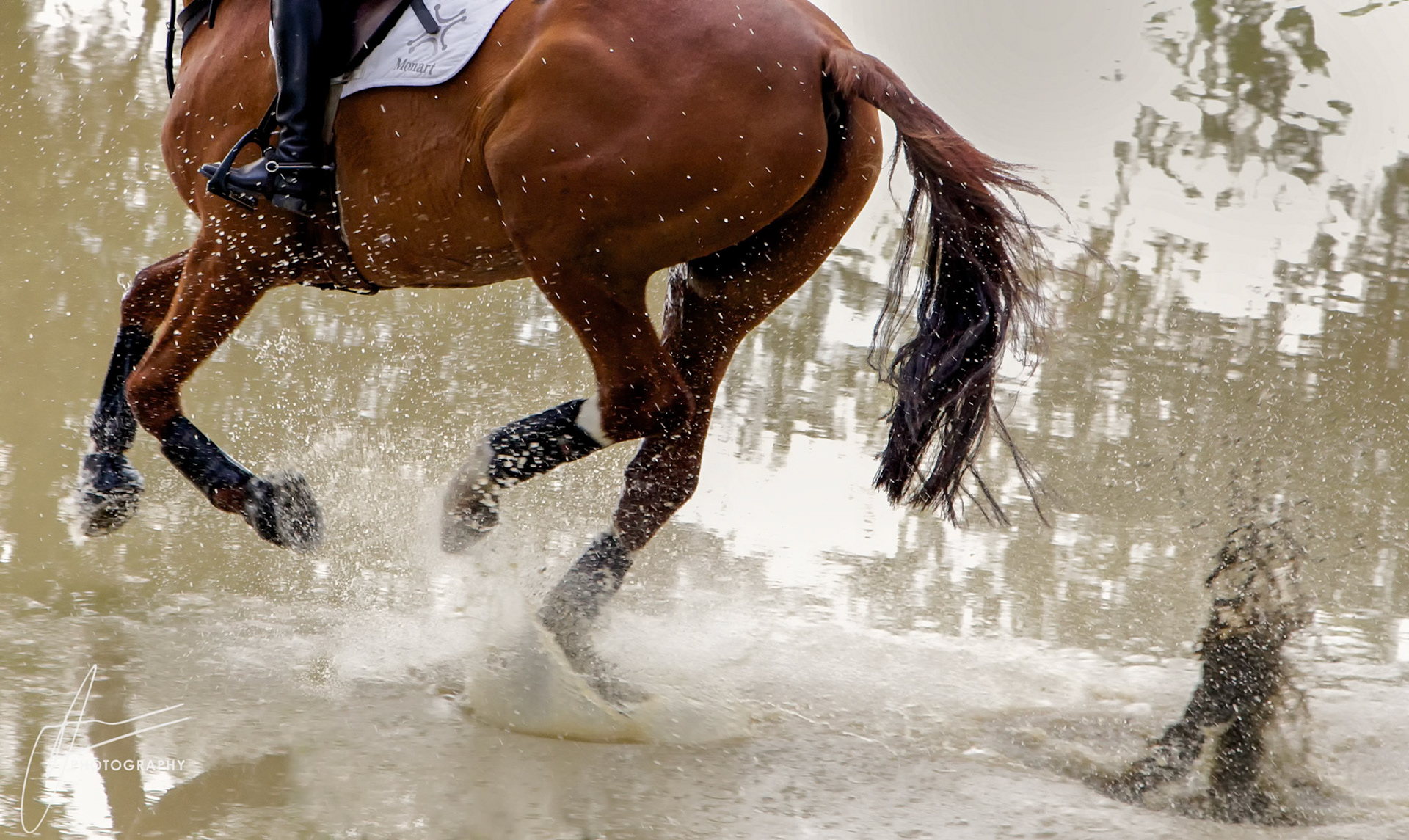 Rockingham Horse Trials 2014