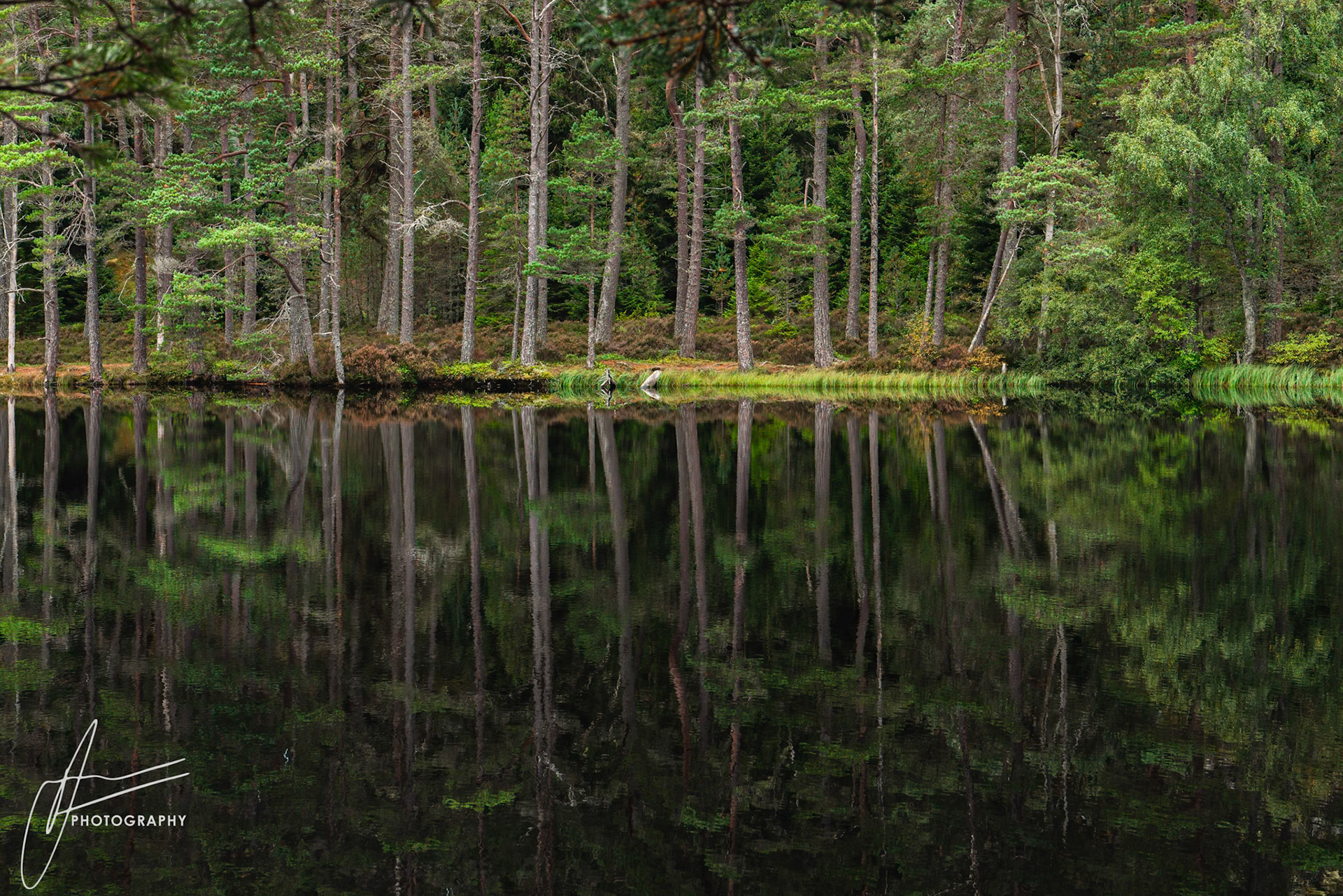 Mar Lodge Estate - Braemar