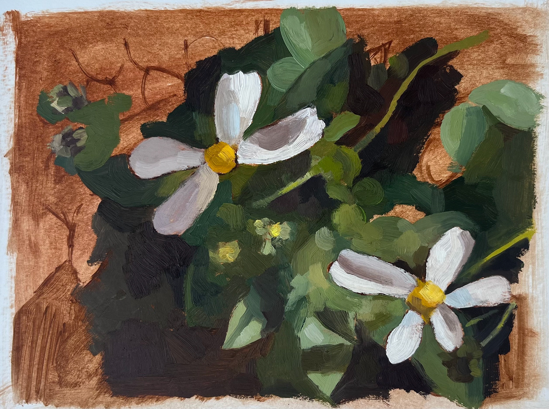 Flower Study ; Oil on Bristol