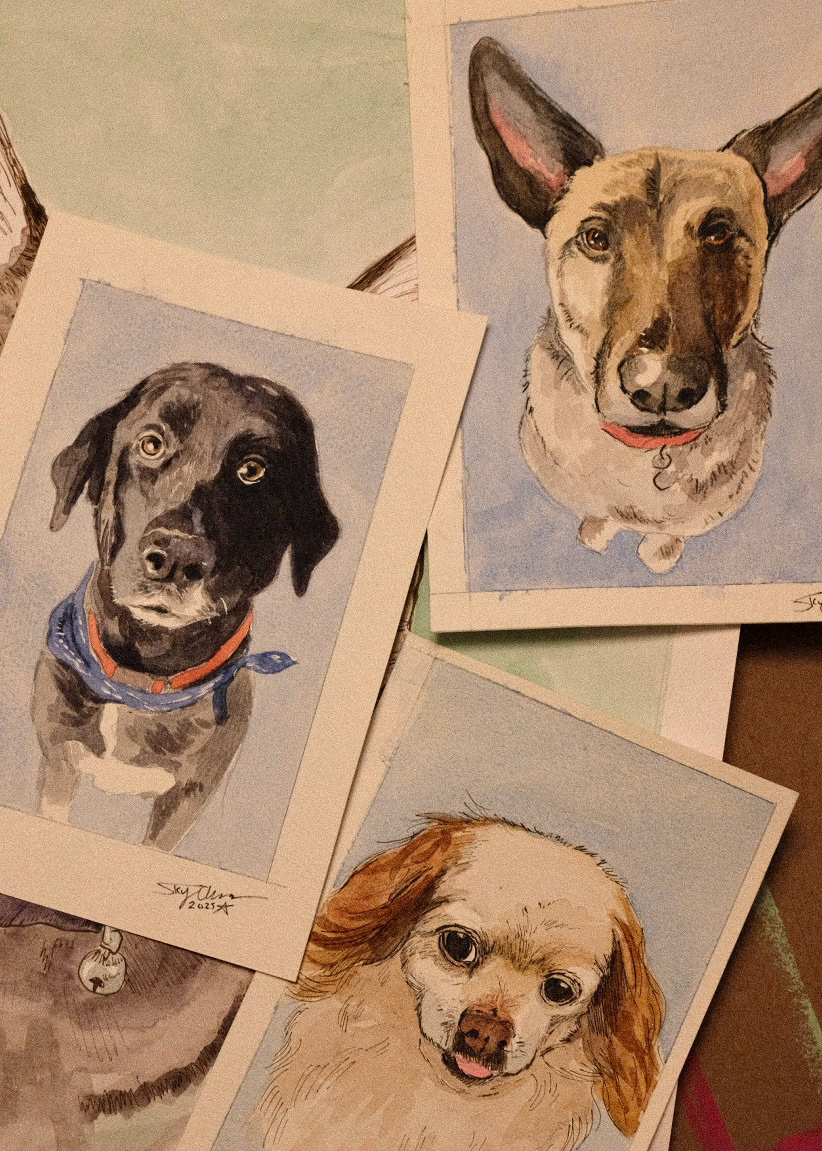 watercolor & ink ; various sizes