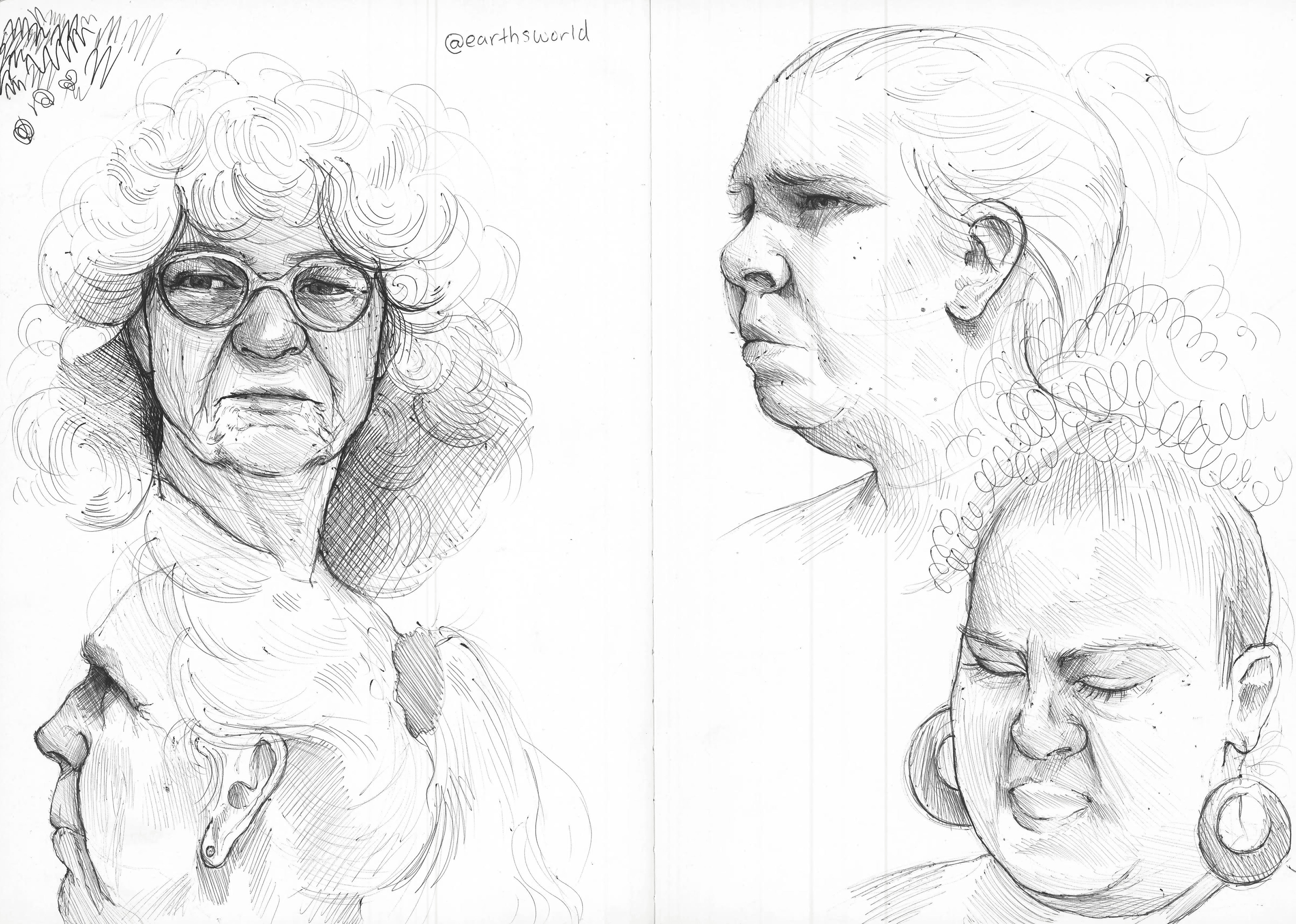 Portrait Studies ; Ballpoint Pen