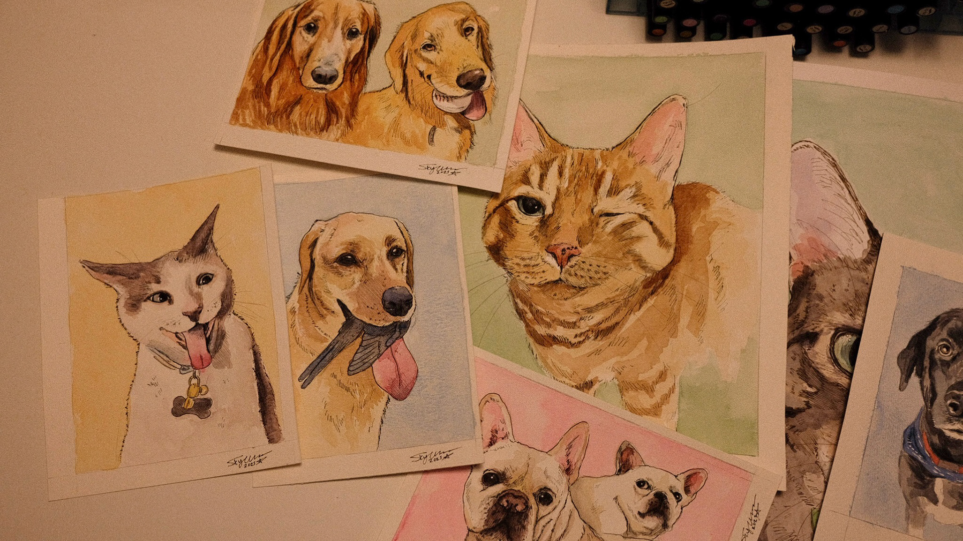 watercolor & ink ; various sizes