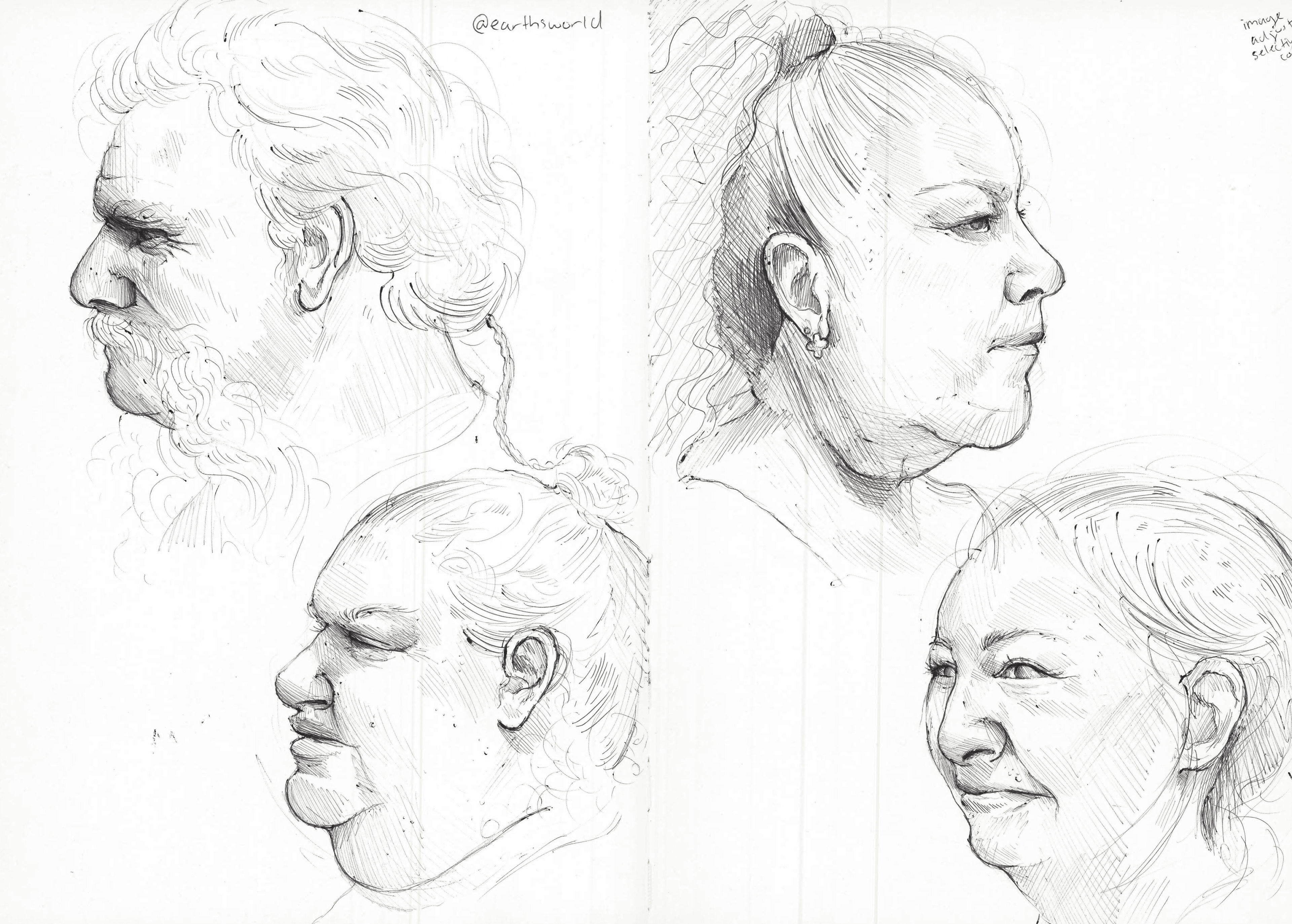 Portrait Studies ; Ballpoint Pen