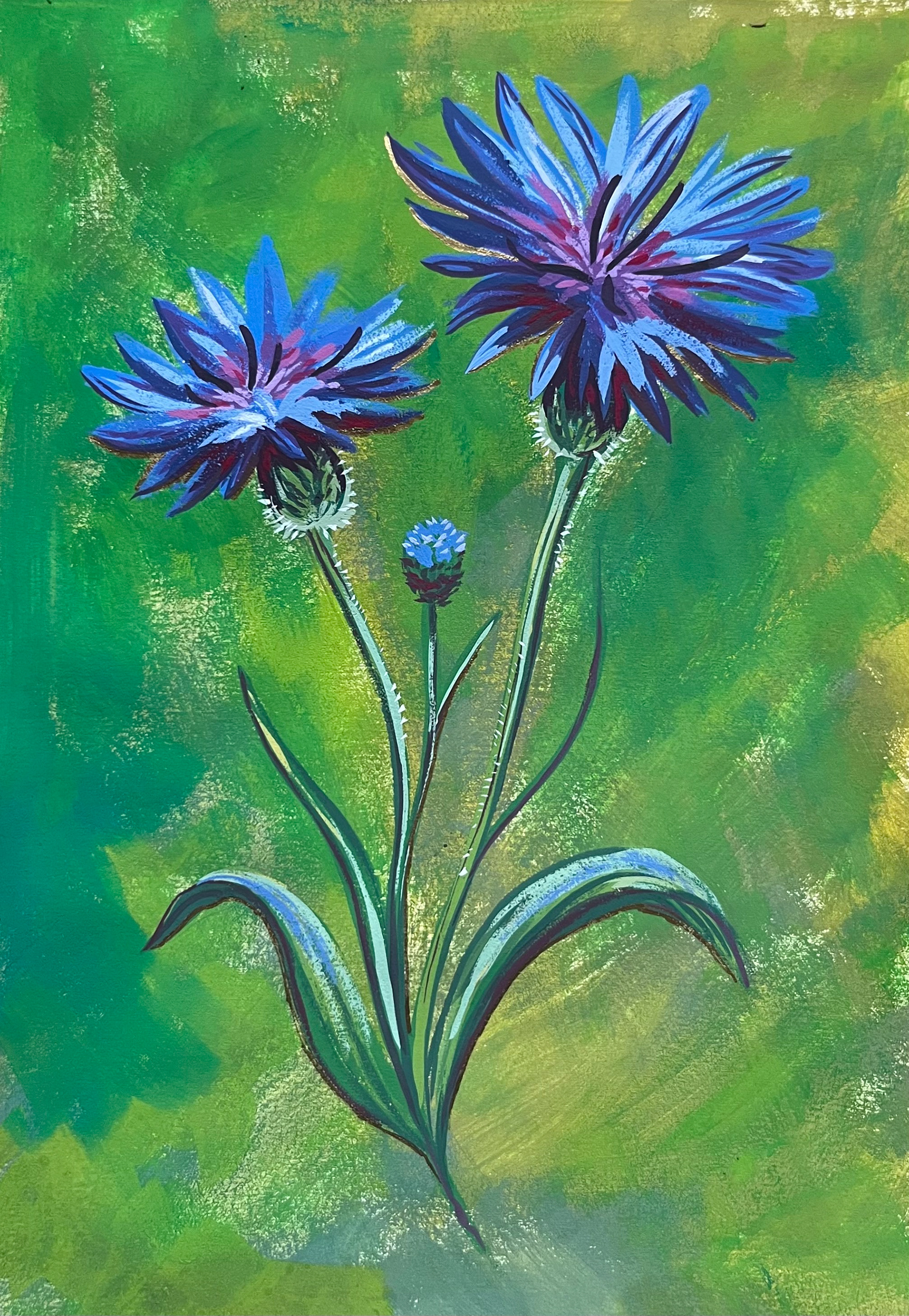 Cornflower ; Gouache