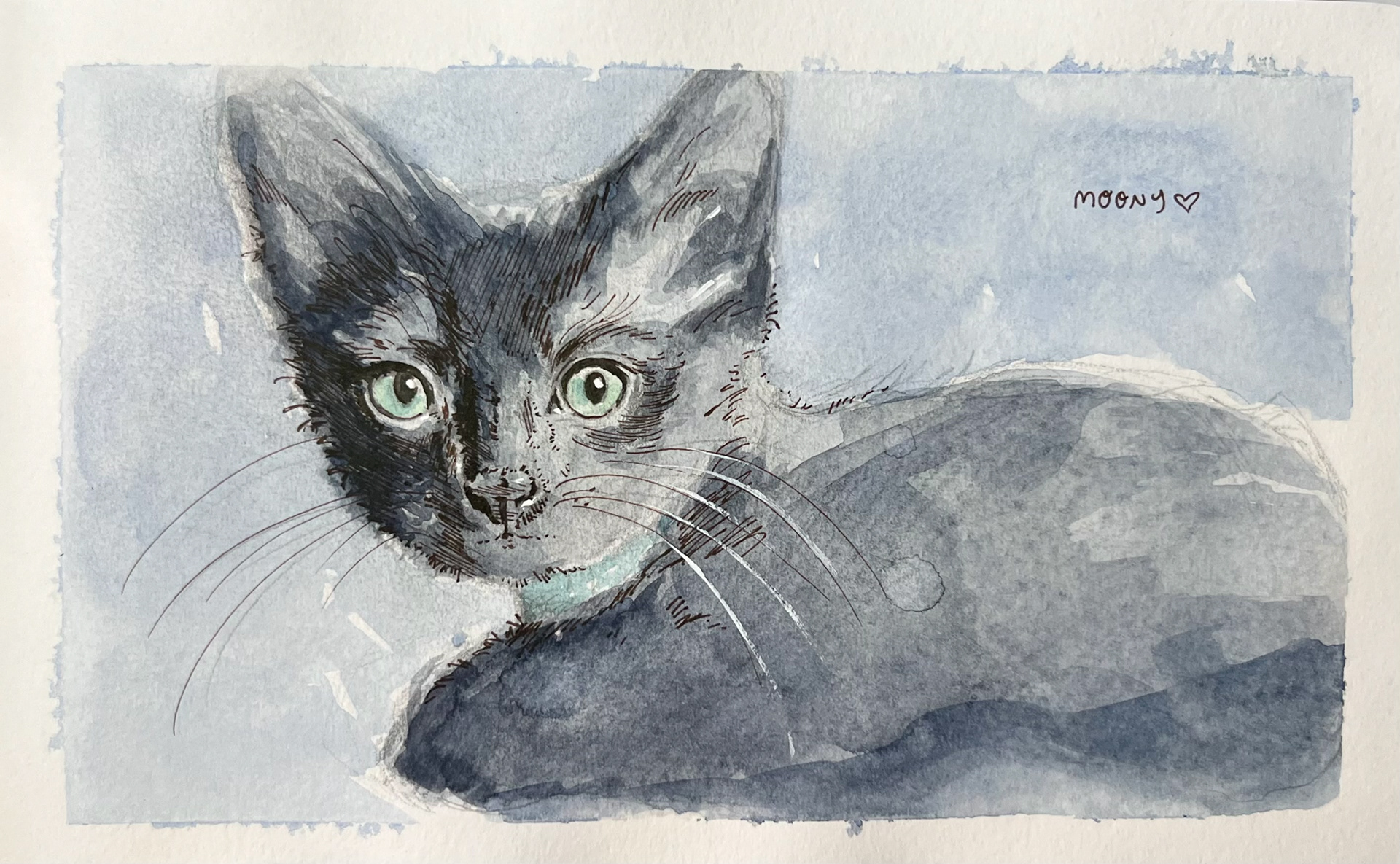 watercolor & ink ; sketchbook page