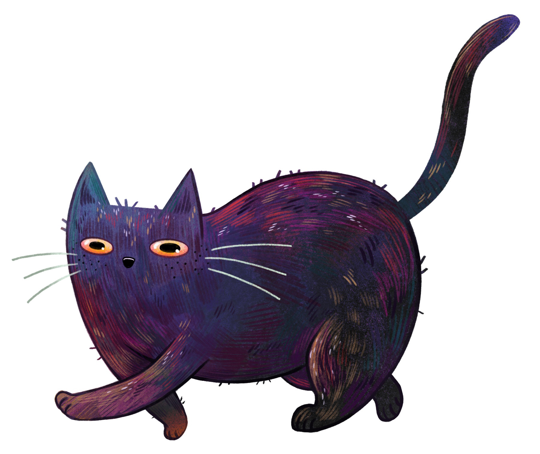 Spooky Cat
