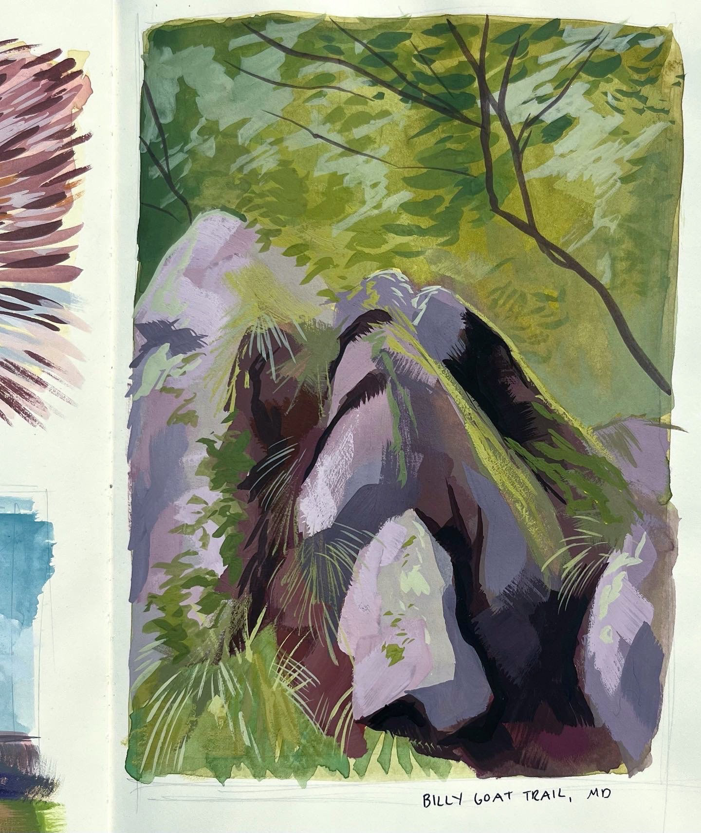 Mossy Rock ; Gouache 