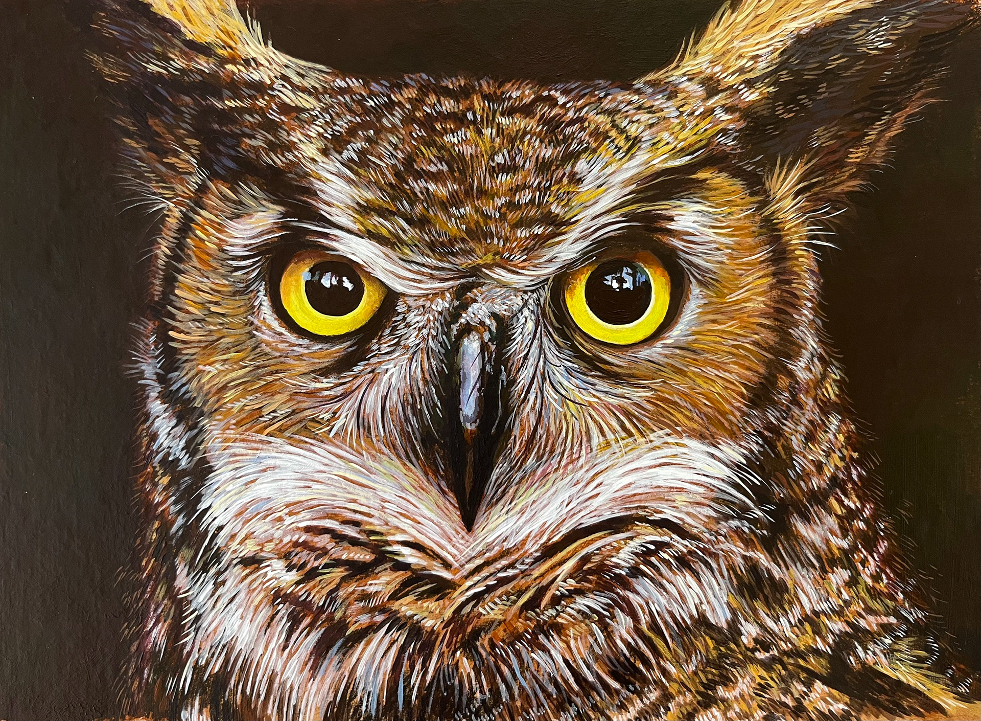 Owl ; Acrylic Paint