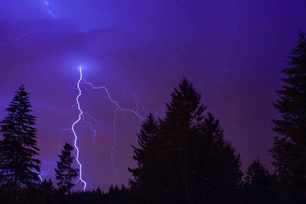 Olympic National Park, WA