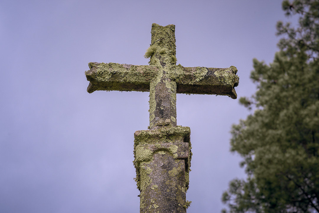 Cruceiro de Novefontes | Touro