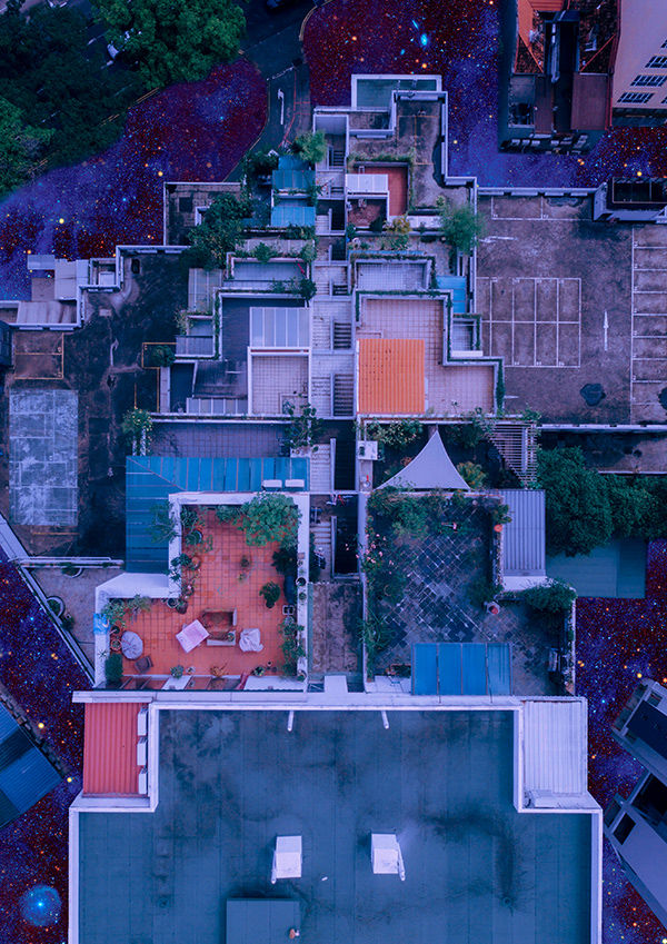 The forgotten world 9  |  Digital collage, Archival pigment print  |  35.5 x 28 cm, 2021