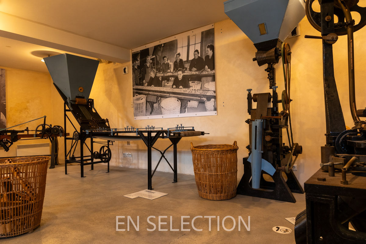 Musée Mezin