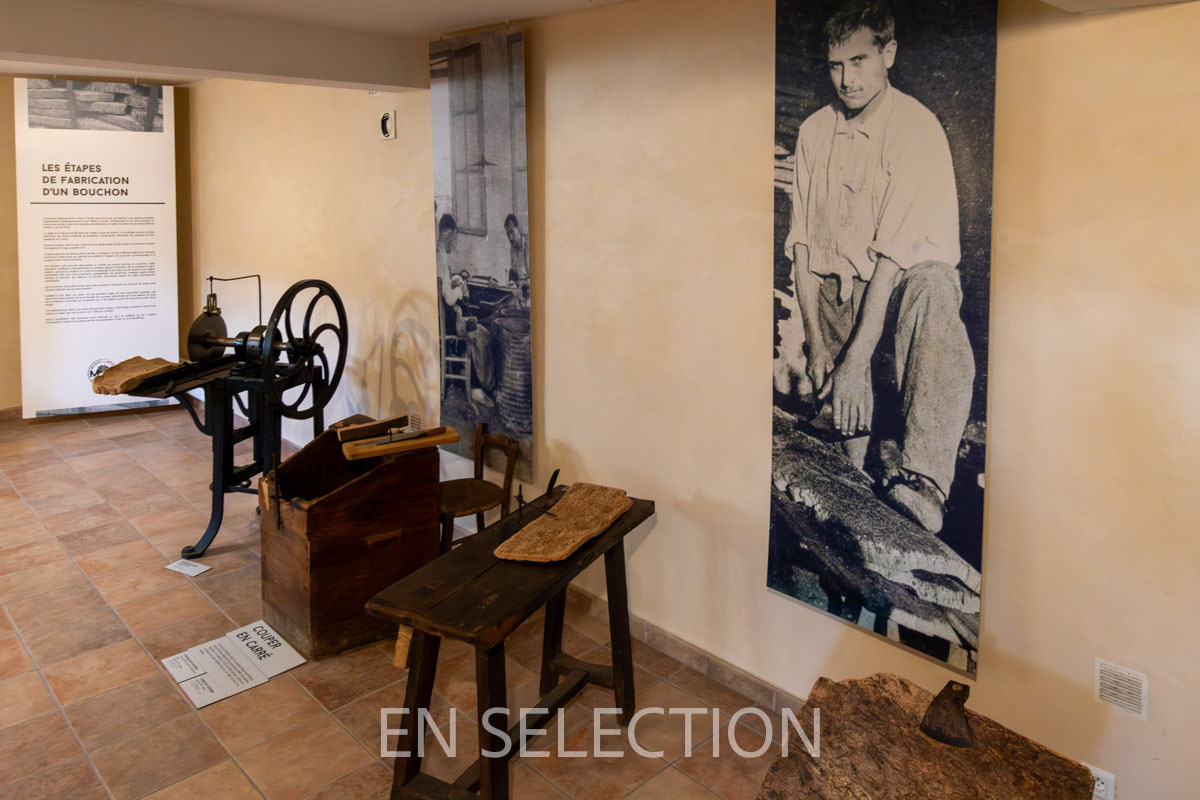 Musée Mezin