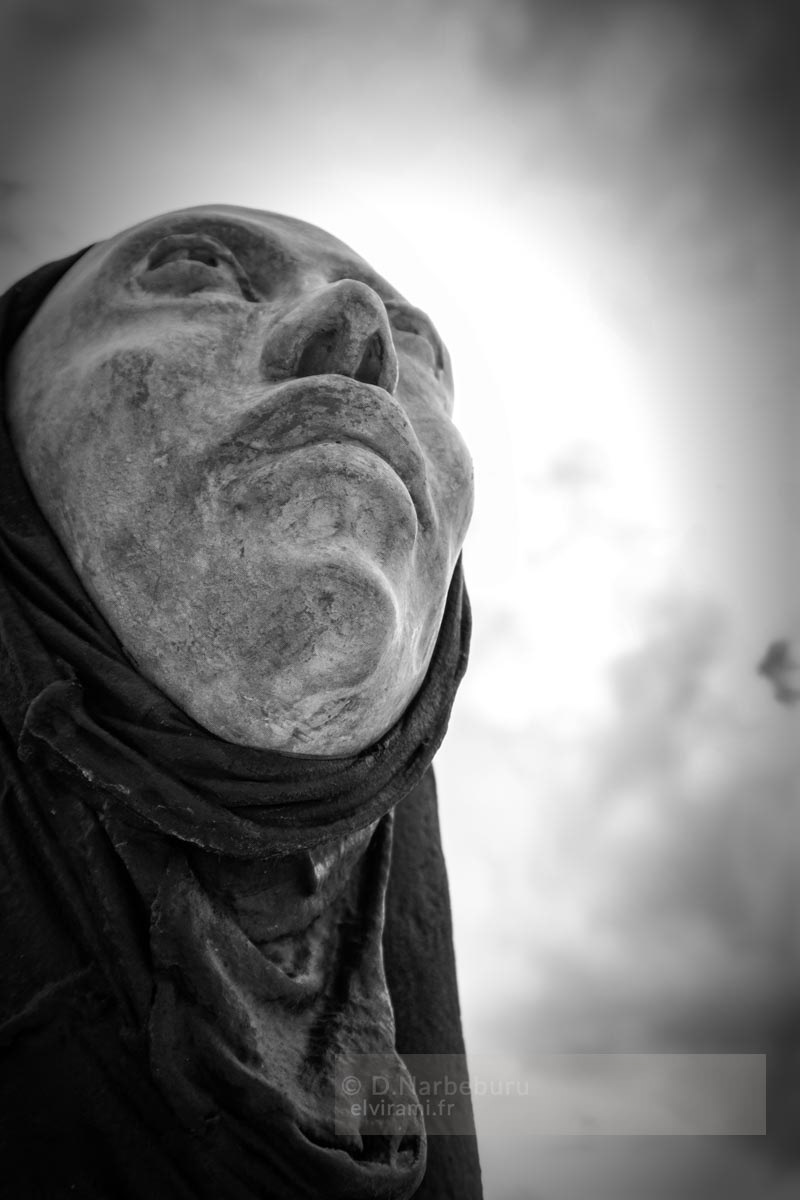Galerie Egregore Casteljaloux 47