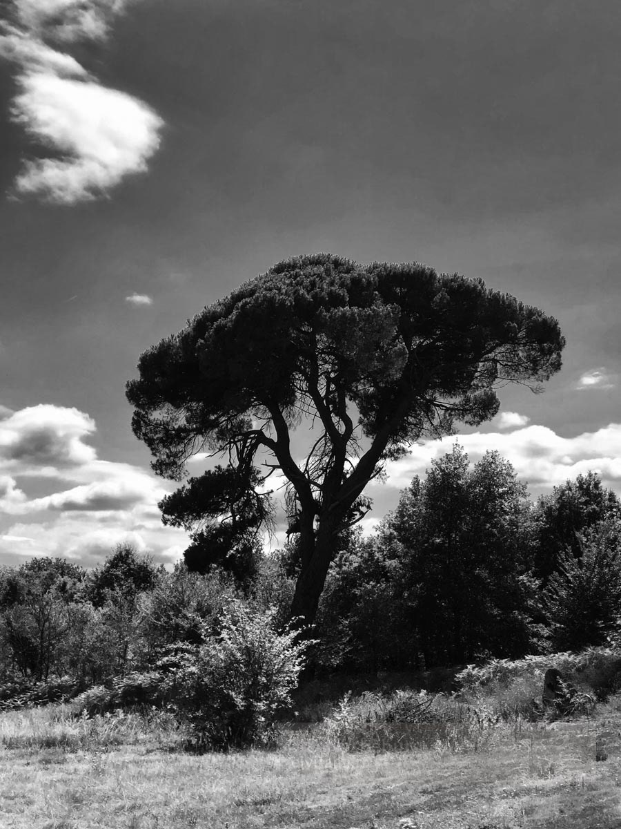 Galerie Egregore Casteljaloux 47