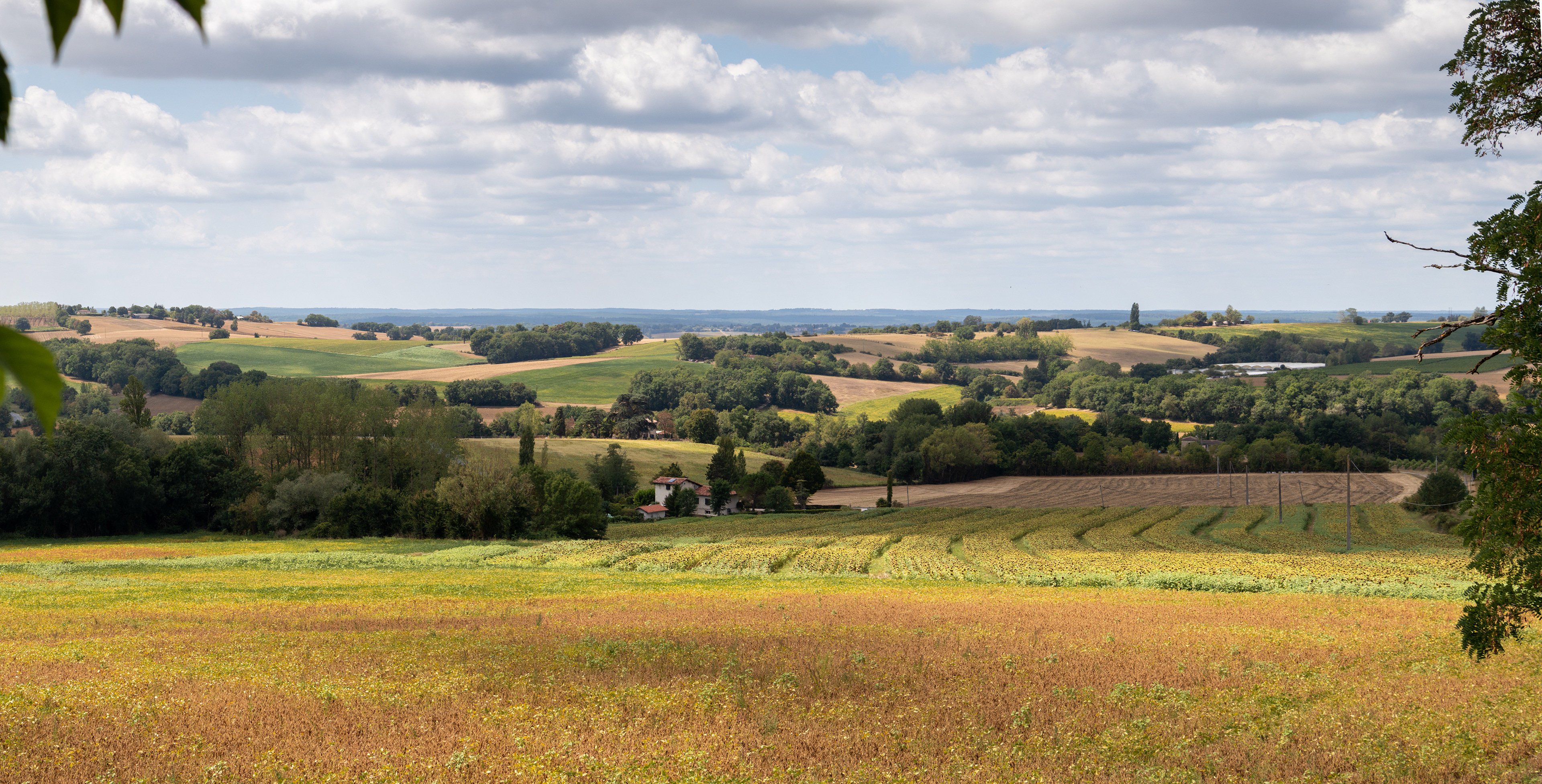 Montage panoramique grand format