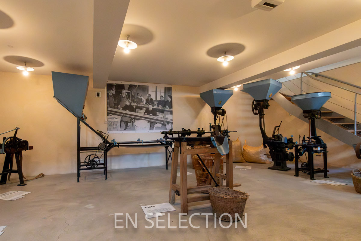 Musée Mezin