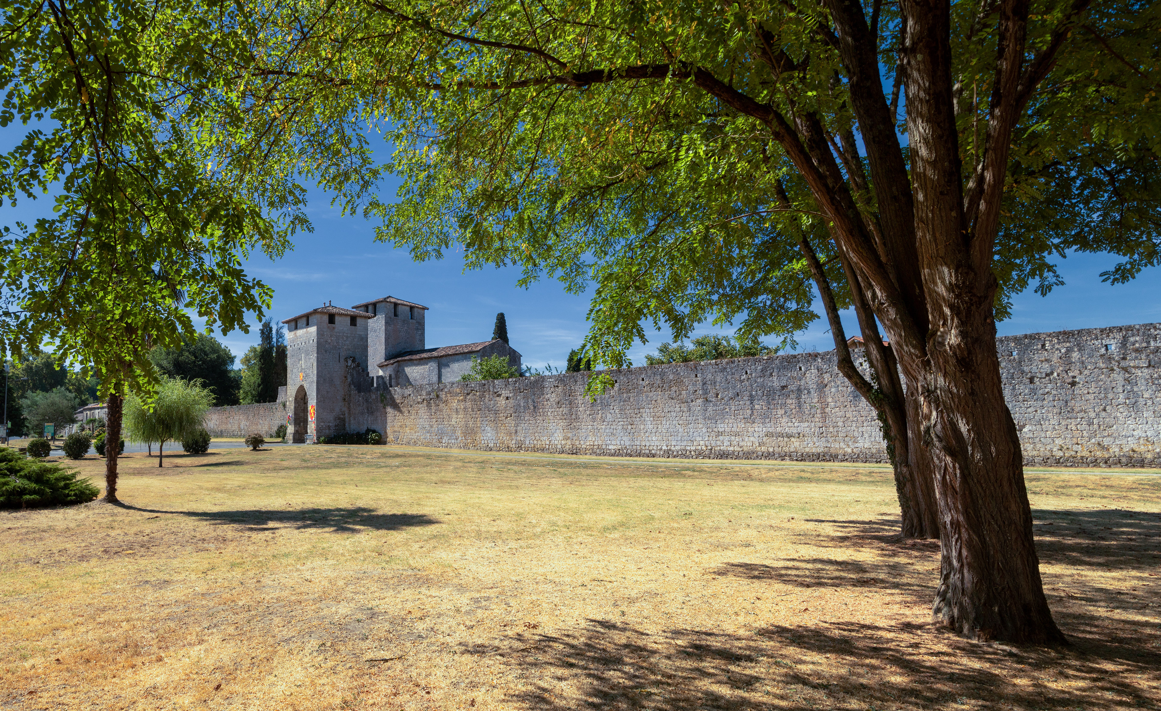 Montage panoramique grand format
