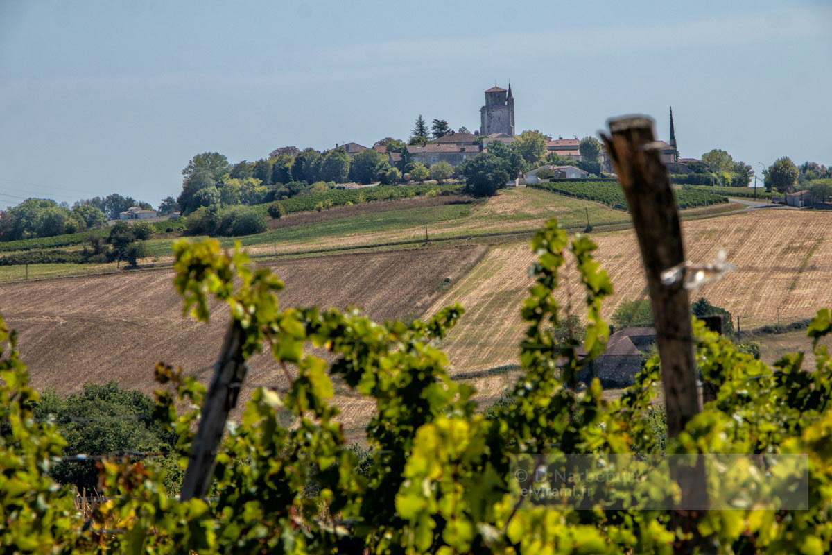 Montagnac sur Auvignon