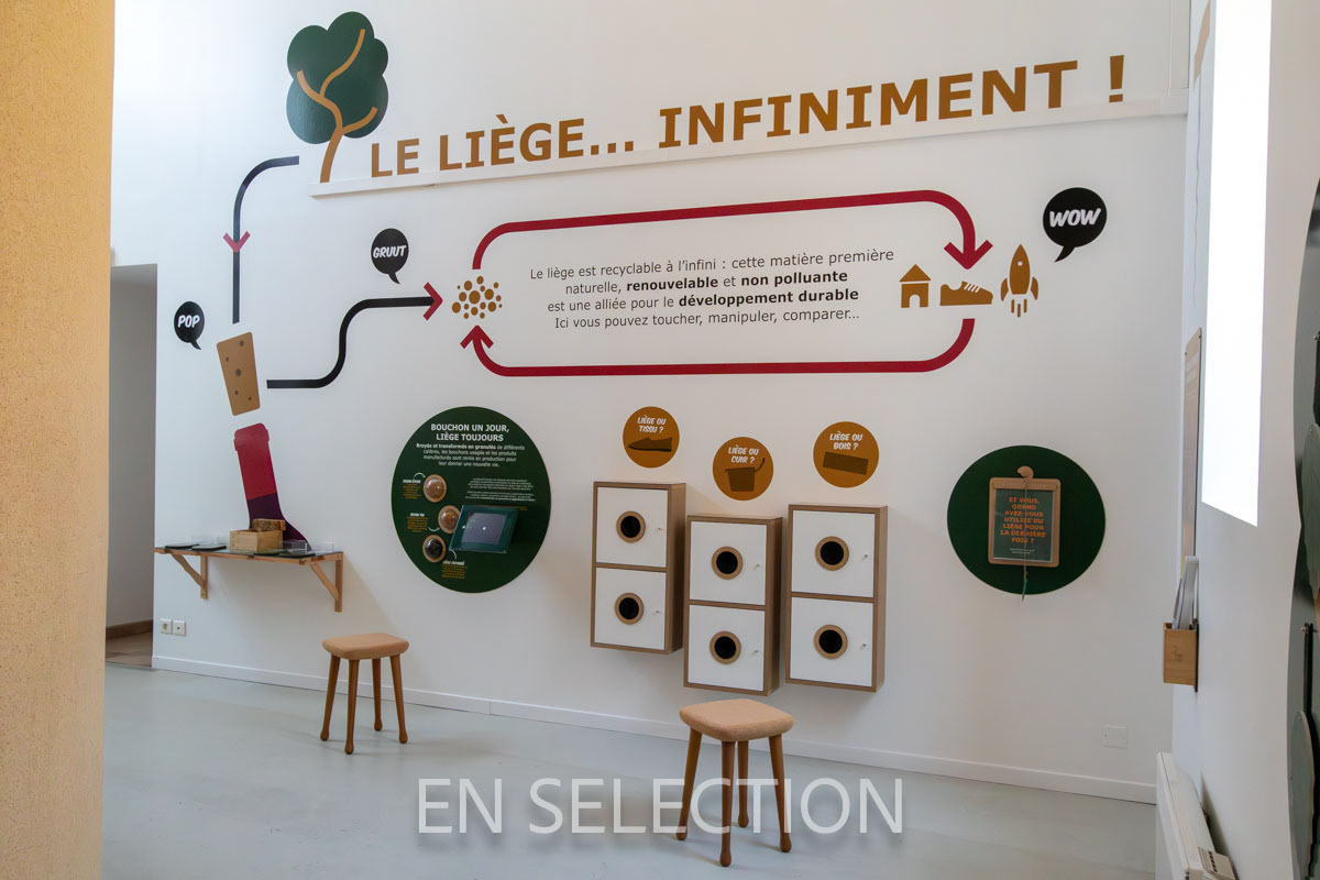 Musée Mezin