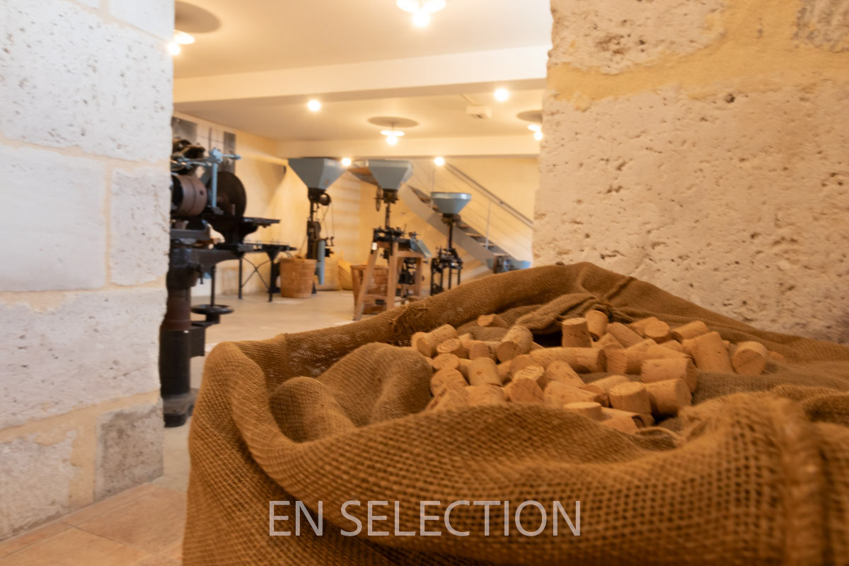 Musée Mezin
