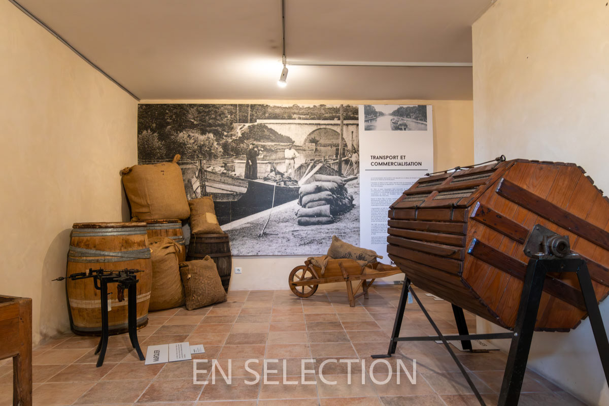 Musée Mezin