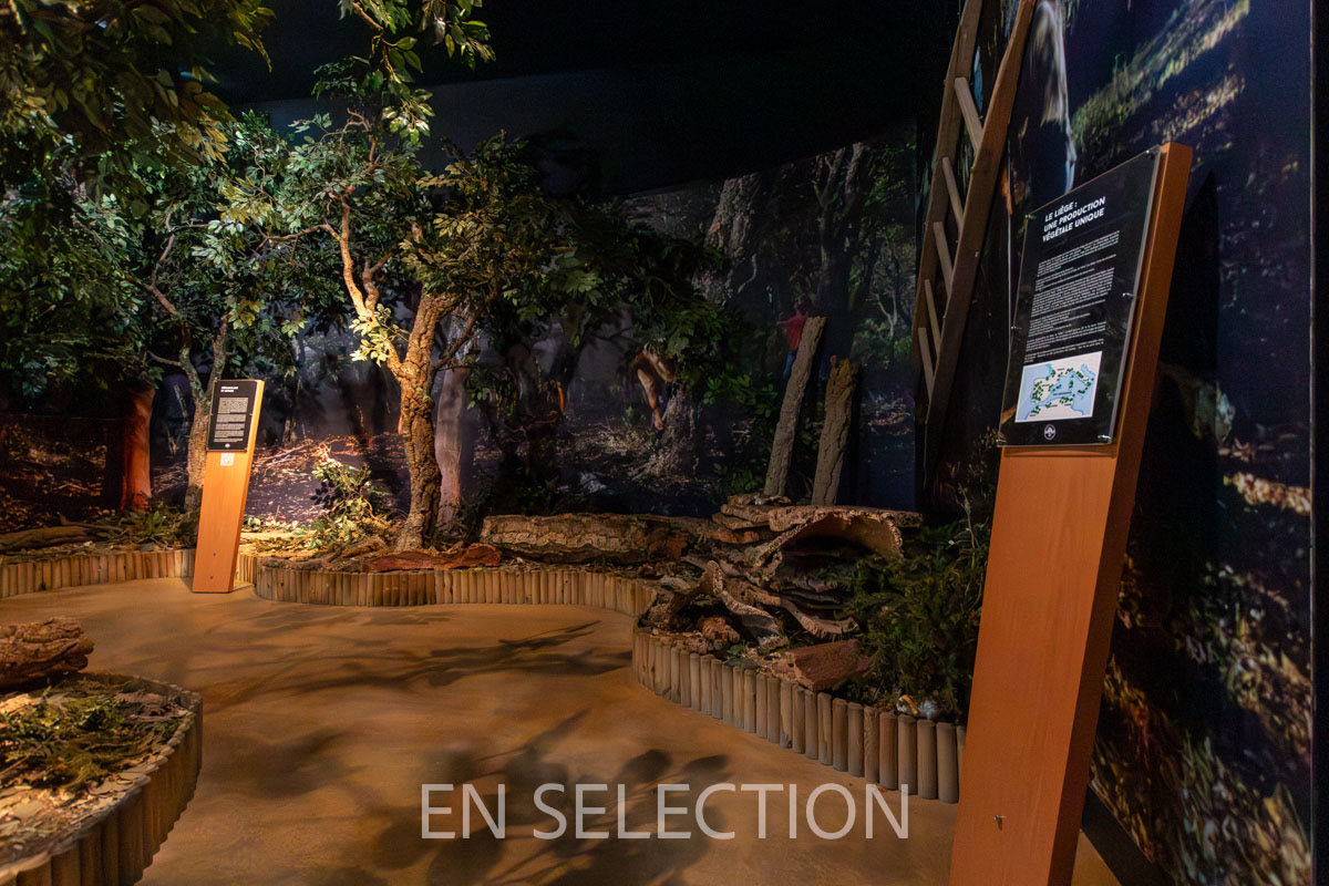 Musée Mezin