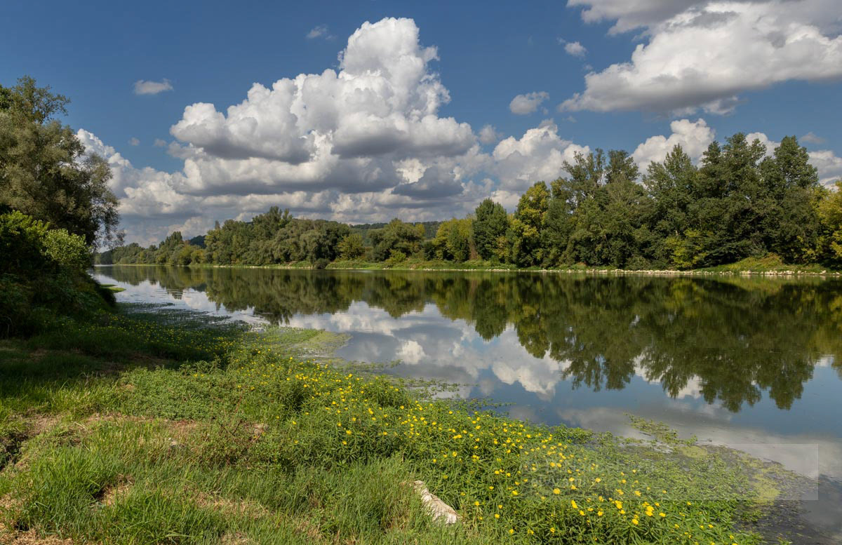 Thouars sur Garonne