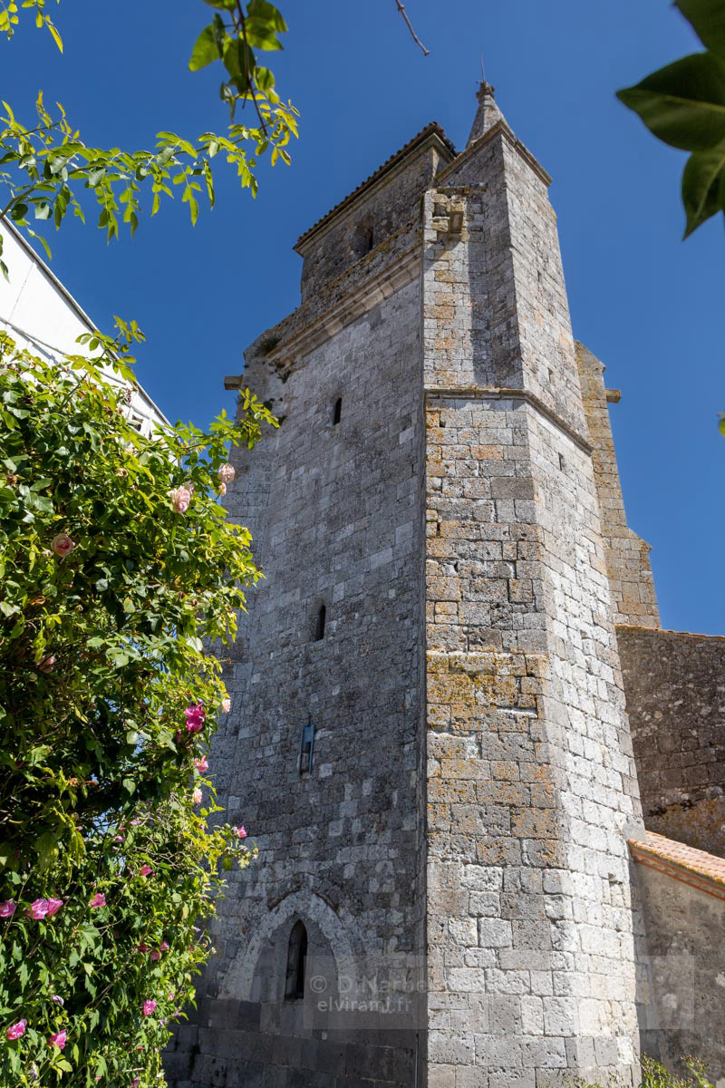 Montagnac sur Auvignon