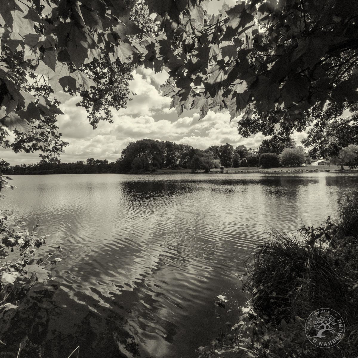 Lac d'UZA LAndes