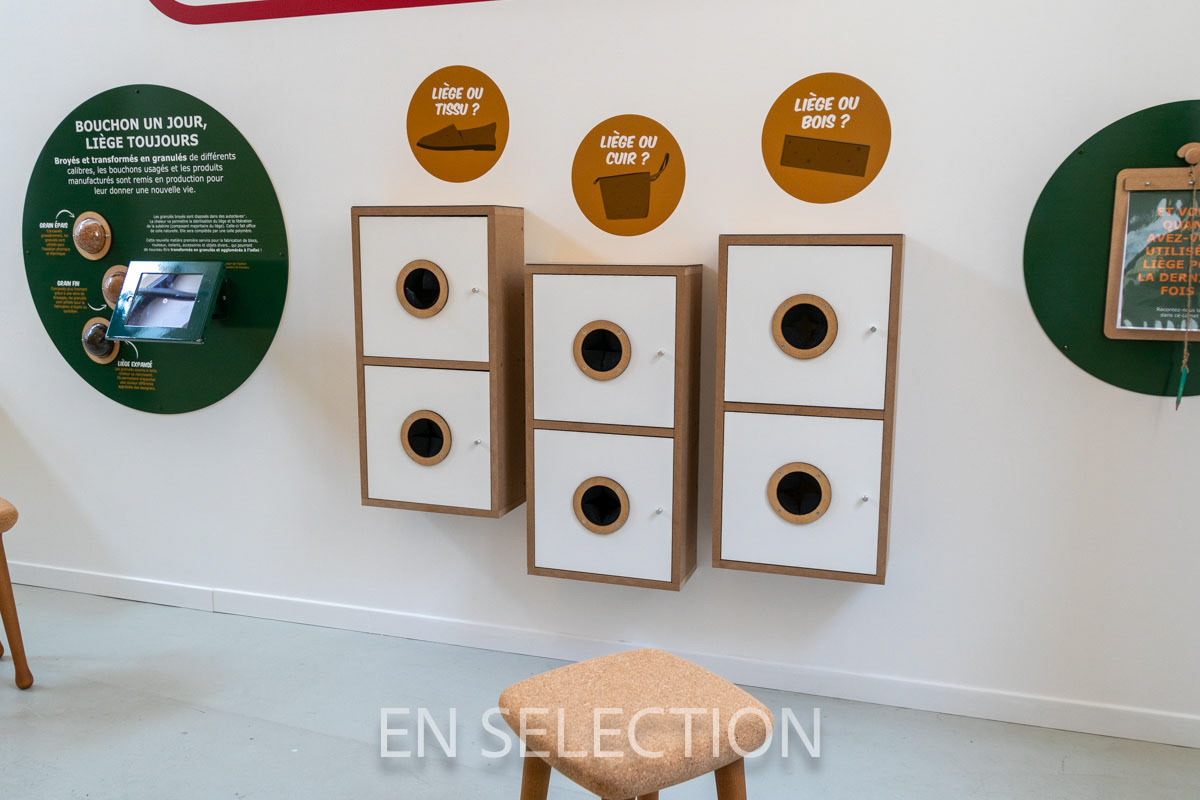 Musée Mezin